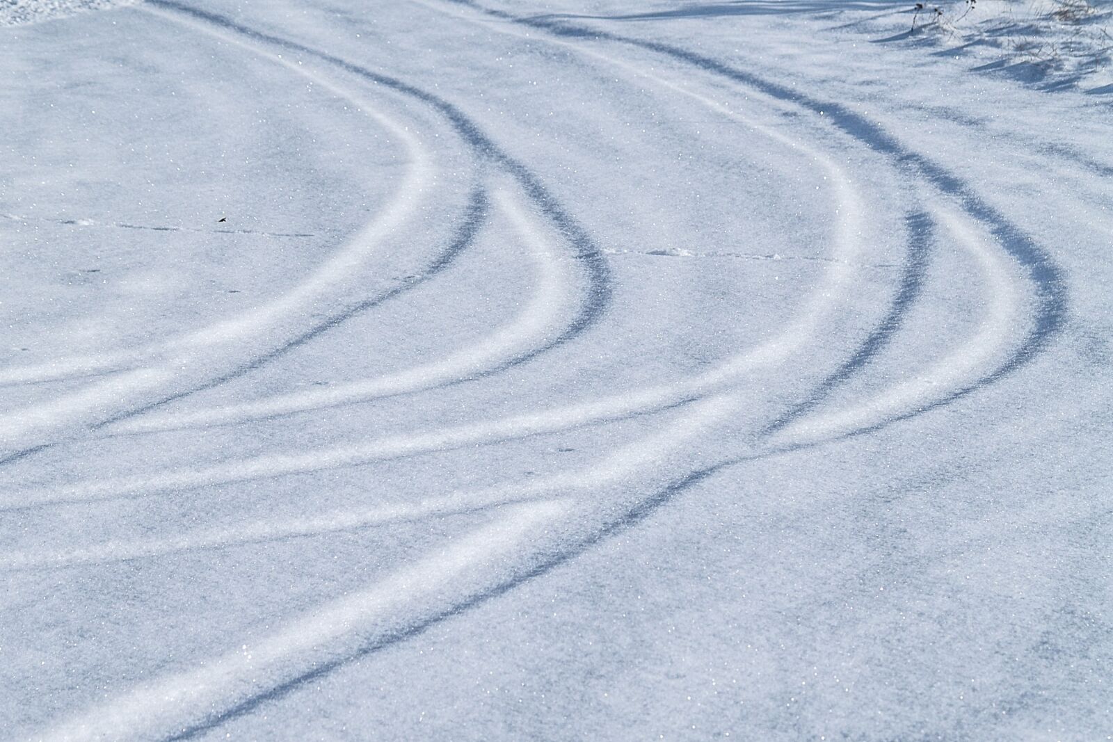 Olympus E-500 (EVOLT E-500) sample photo. Winter, snow, traces photography