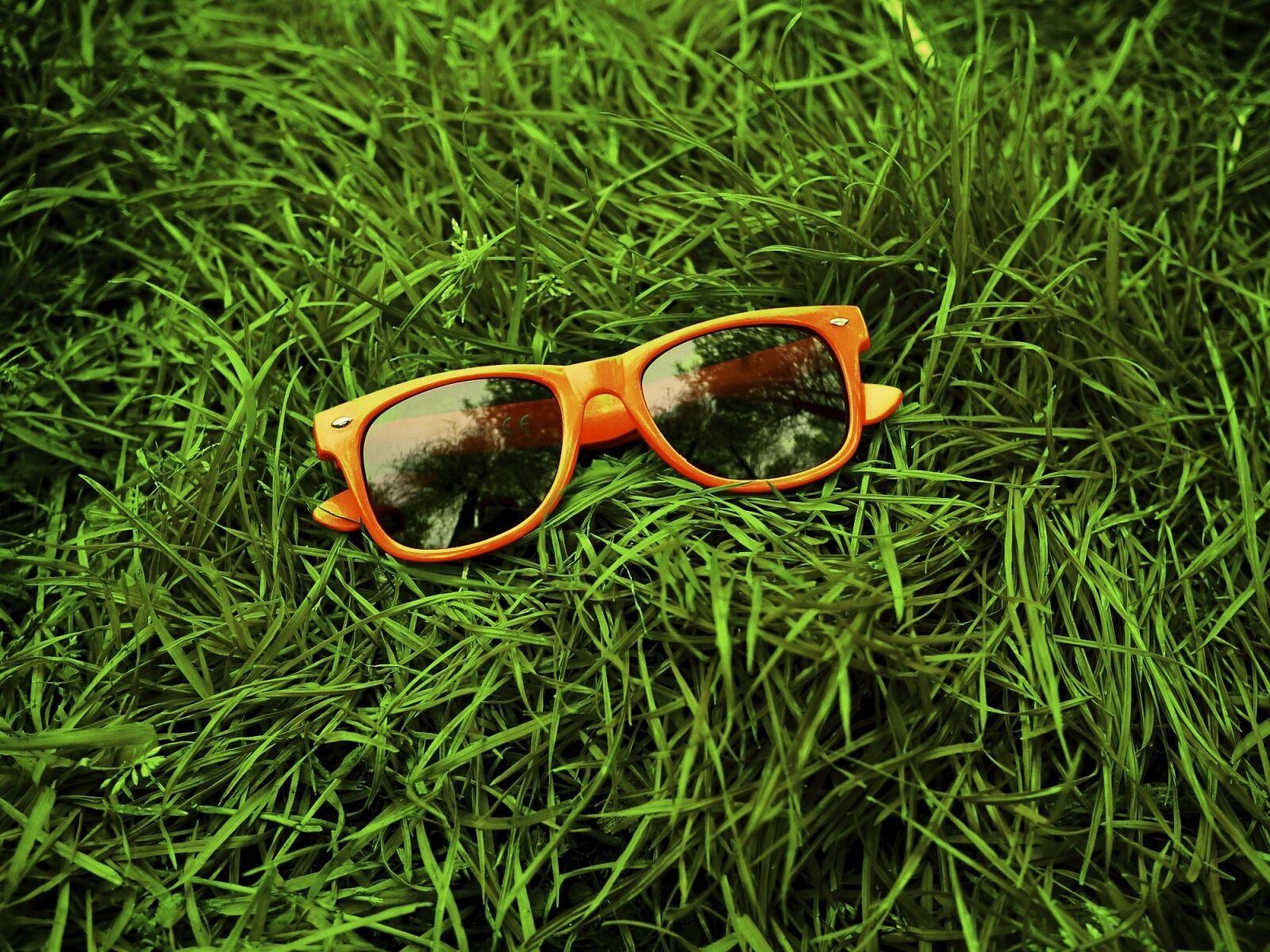 Panasonic Lumix DMC-GF1 sample photo. Orange, glasses, shades photography