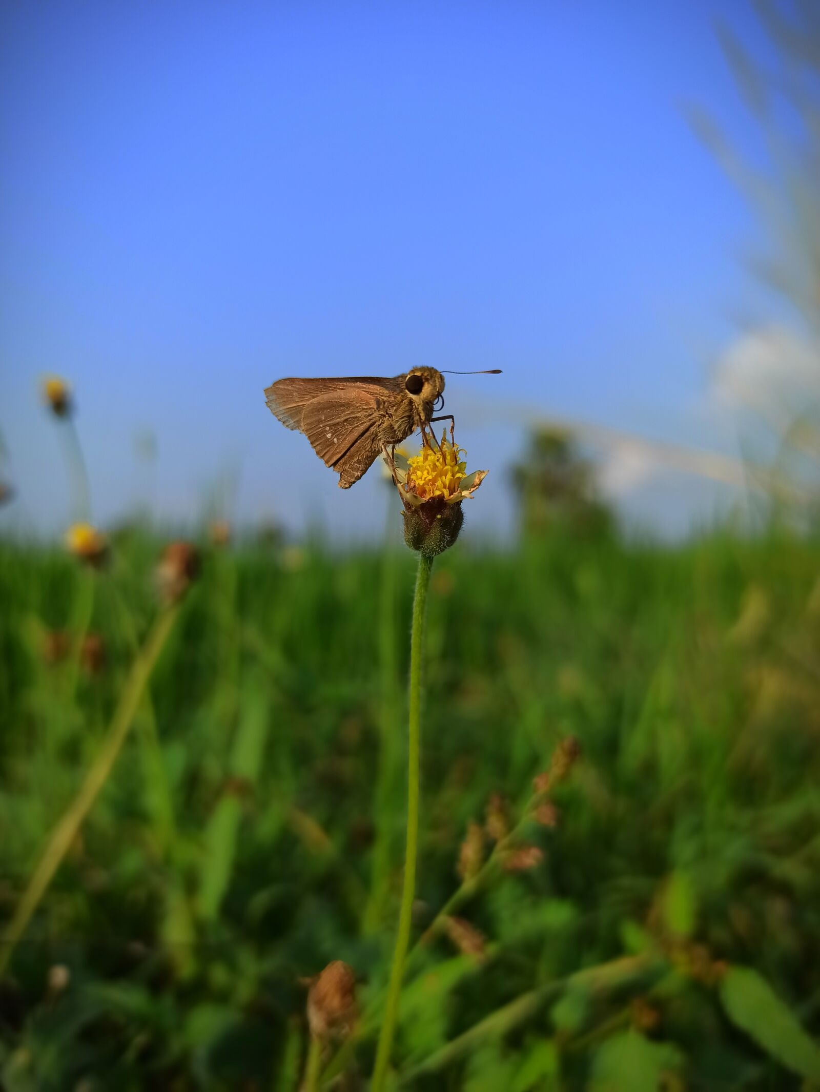 Xiaomi Redmi Note 8 Pro sample photo