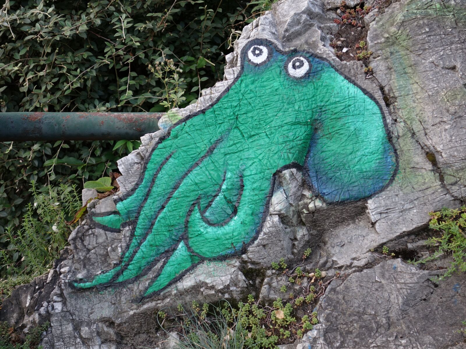Sony Cyber-shot DSC-RX100 II sample photo. Octopus, painted, graffiti photography