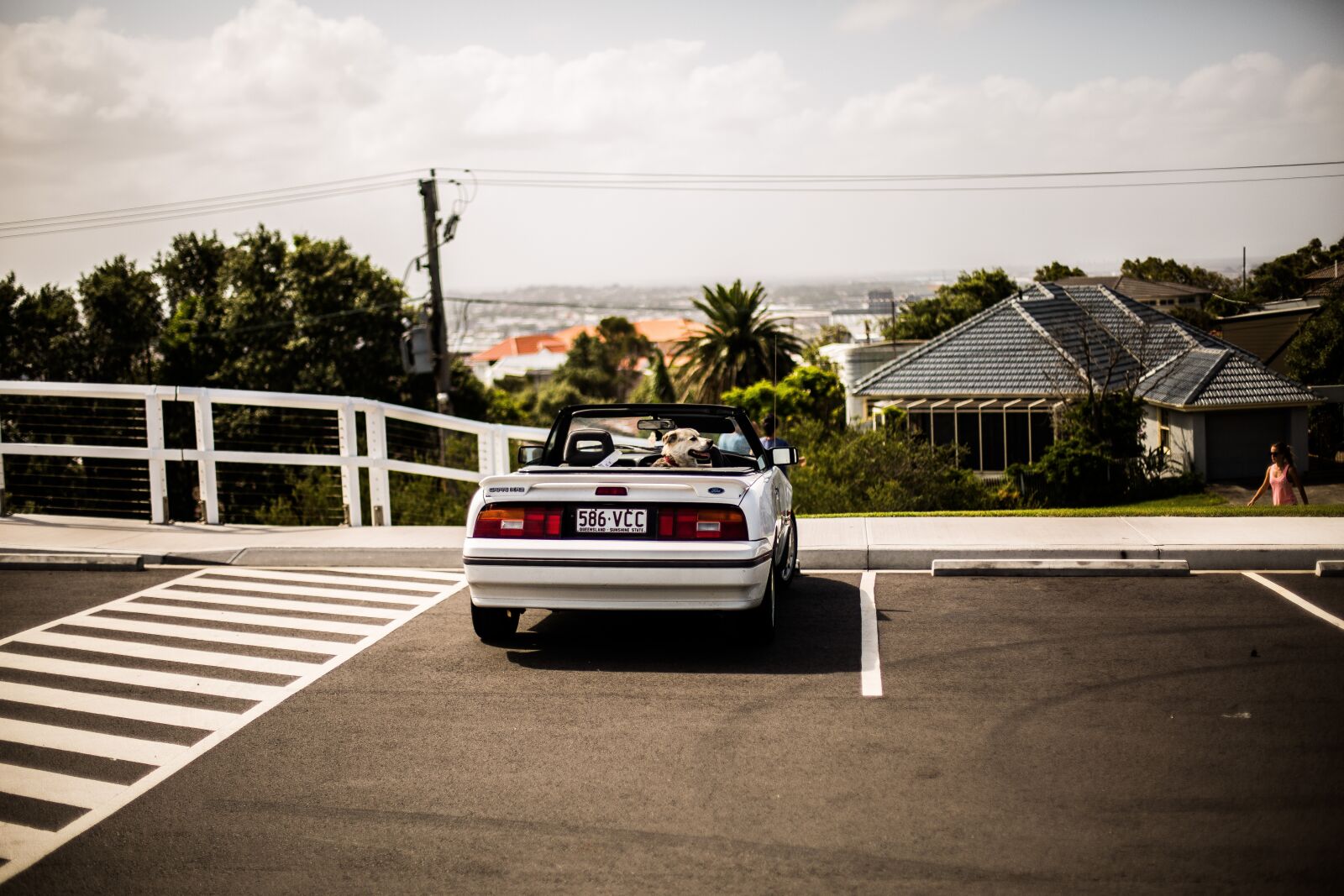 Canon EF 50mm F1.4 USM sample photo. Automobile, automotive, car photography