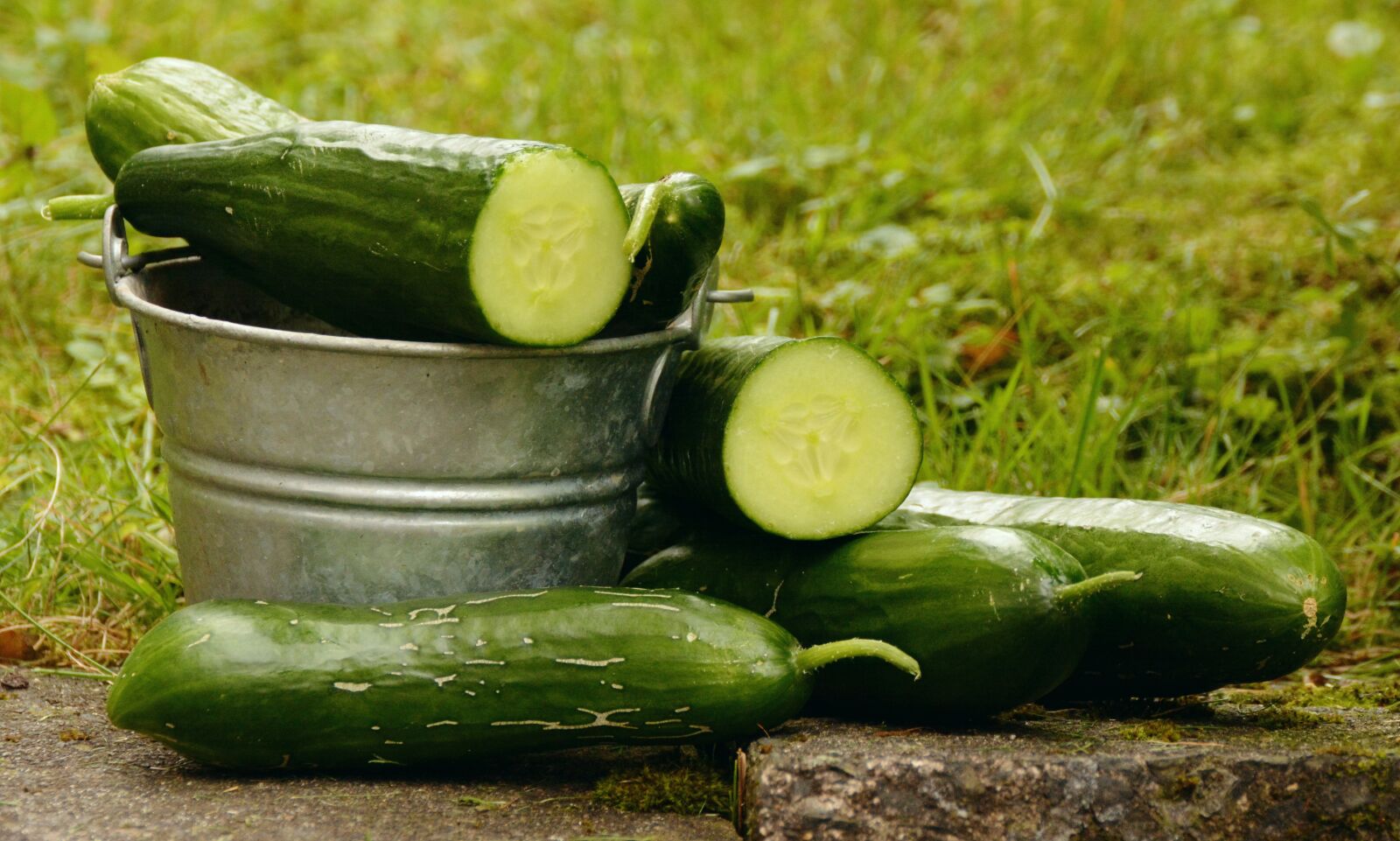 Nikon D5200 sample photo. Cucumbers, garden, harvest photography
