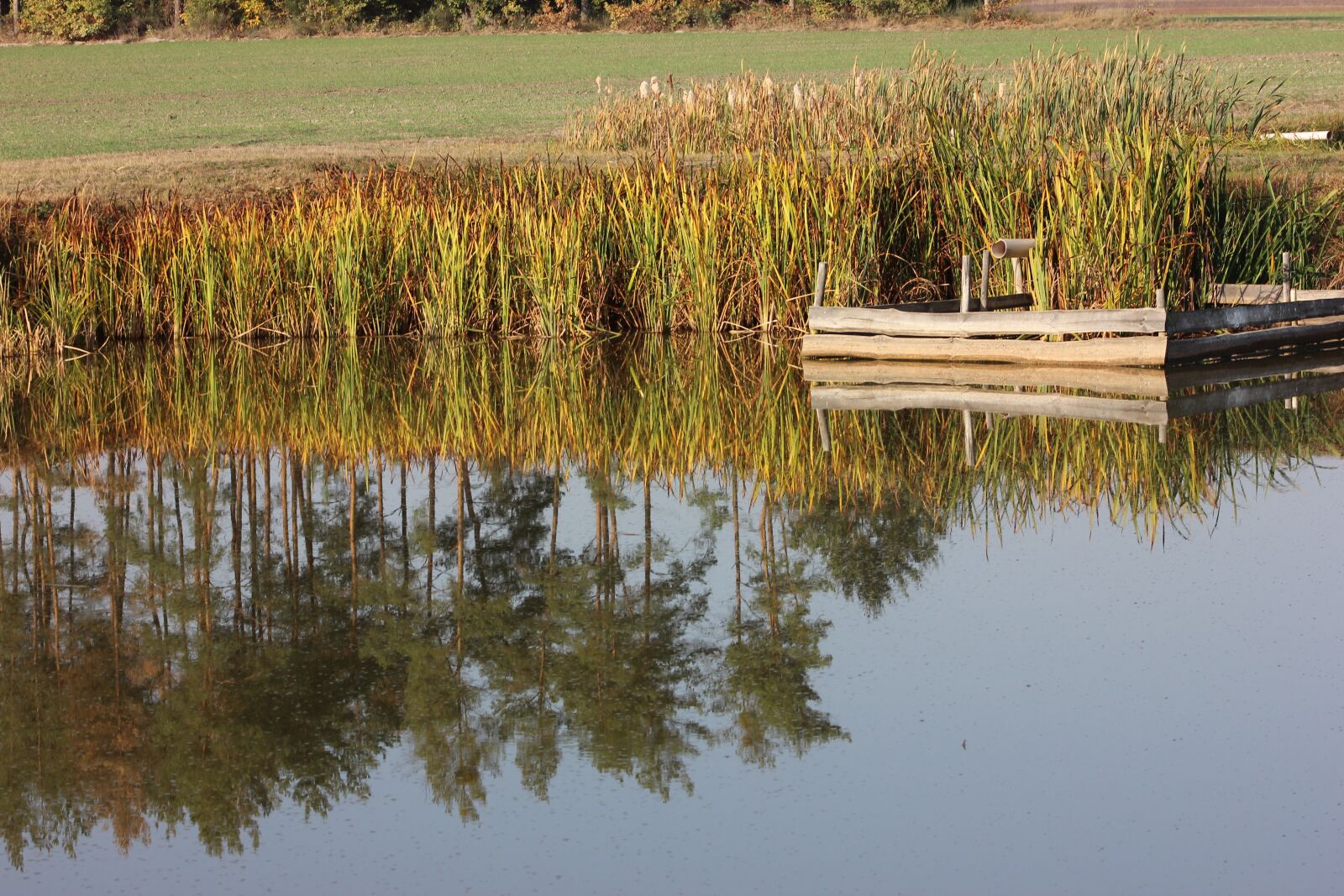 Canon EOS 600D (Rebel EOS T3i / EOS Kiss X5) sample photo. Water, mirroring, nature photography