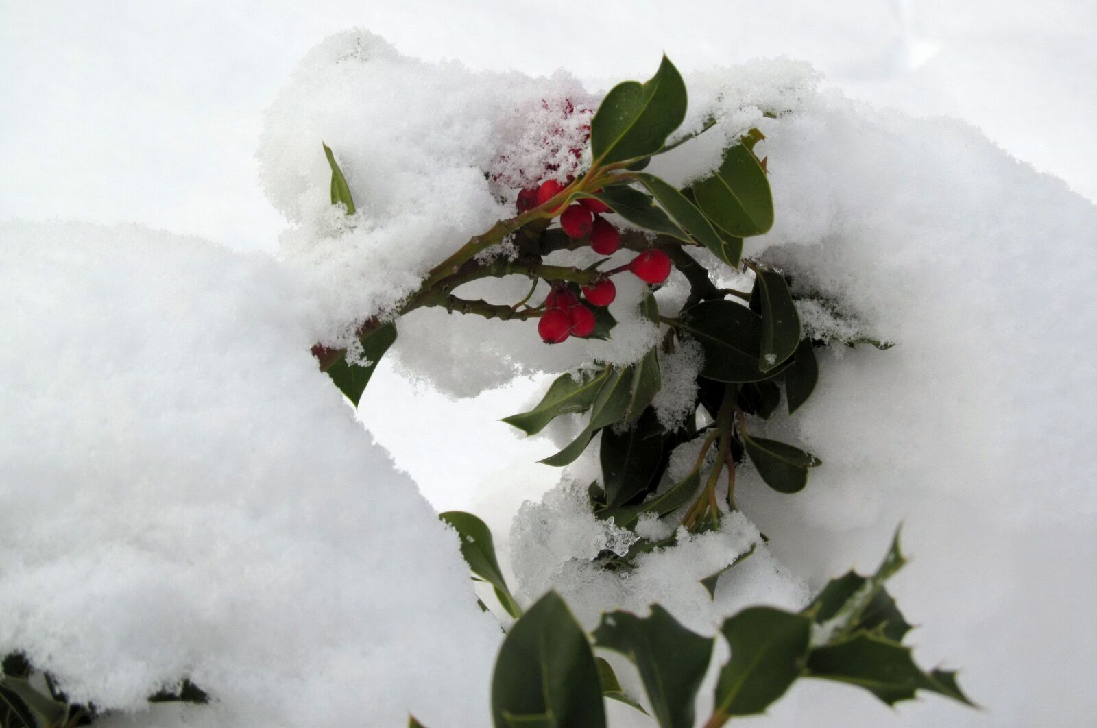 Canon PowerShot SX150 IS sample photo. Snow, heart, winter photography