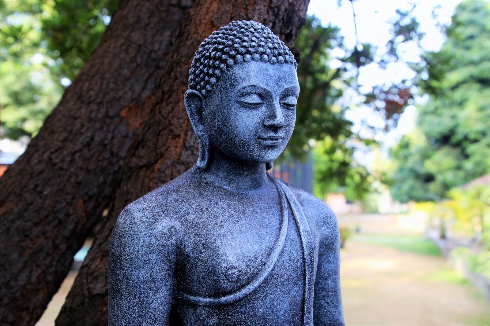 Canon EOS 80D sample photo. Buddhism, portrait, sculpture photography