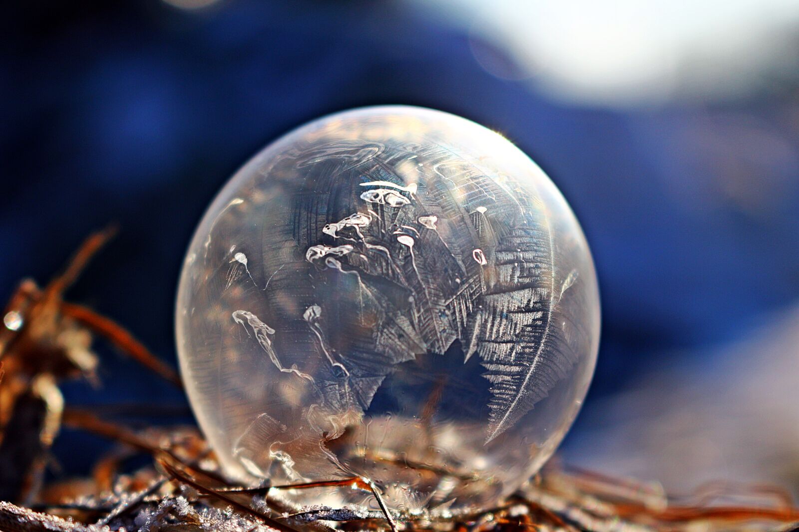 Canon EOS 100D (EOS Rebel SL1 / EOS Kiss X7) sample photo. Frozen bubble, ice bubble photography