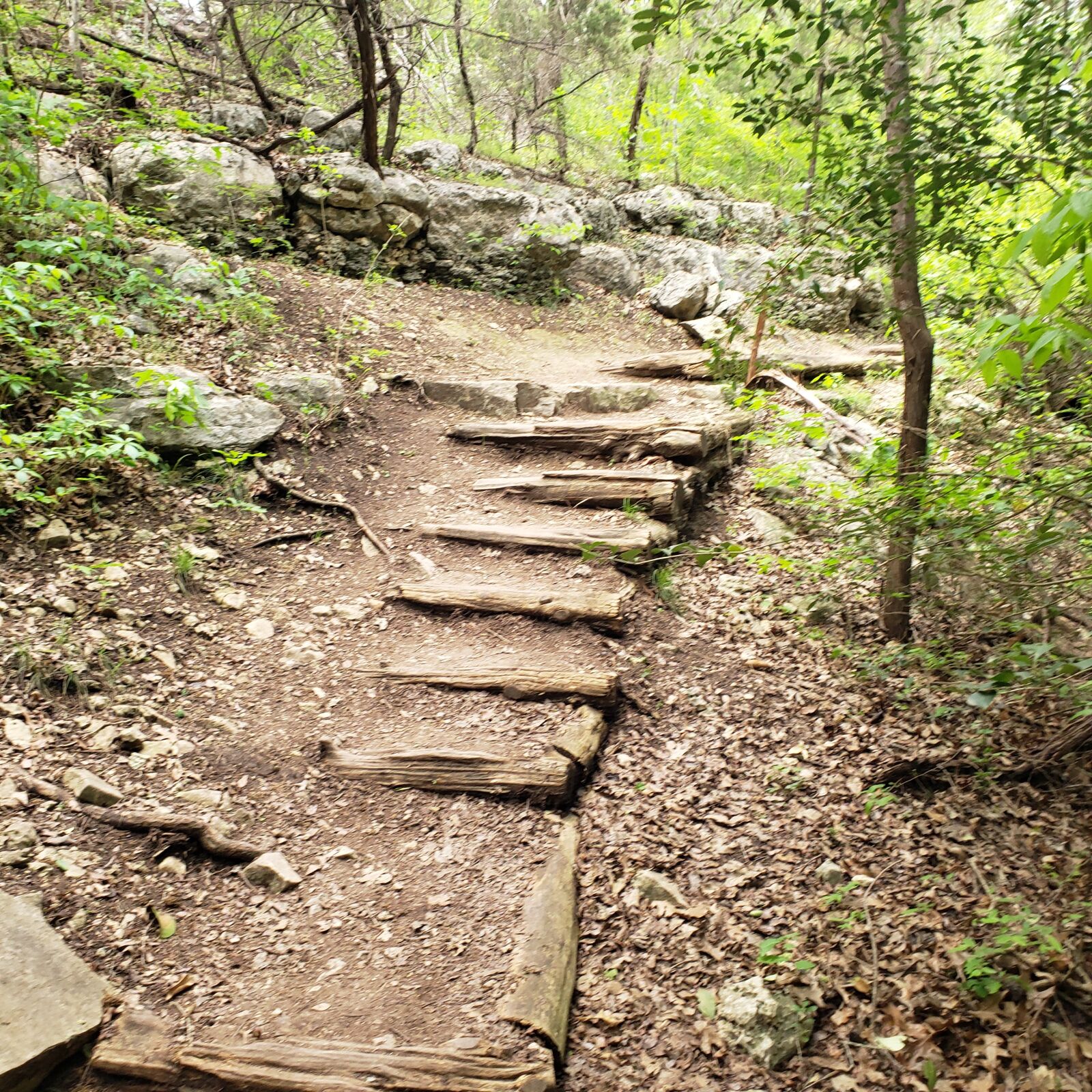 Samsung Galaxy S9+ sample photo. Nature, hike, outdoors photography