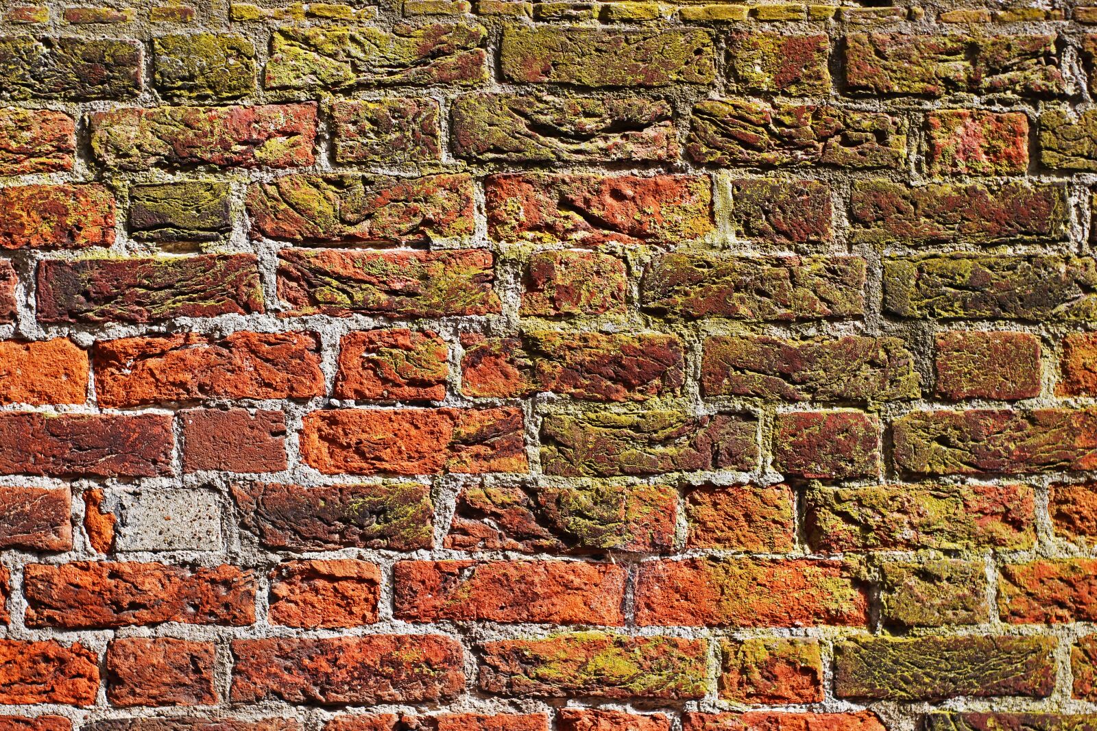 Canon EOS 700D (EOS Rebel T5i / EOS Kiss X7i) sample photo. Nikolai church, brick, historic photography