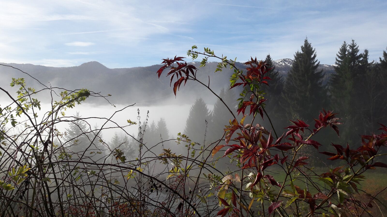 Samsung Galaxy A5(2016) sample photo. Fog, autumn, landscape photography