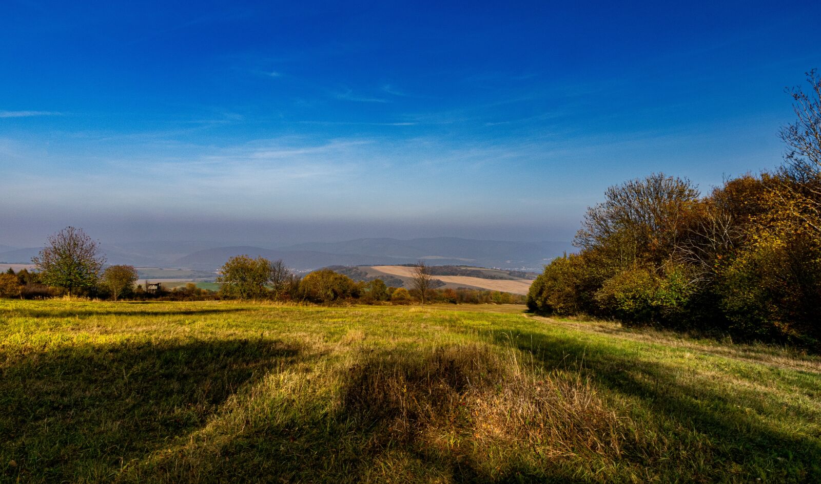 Nikon D5300 sample photo. Forests, meadows, autumn photography