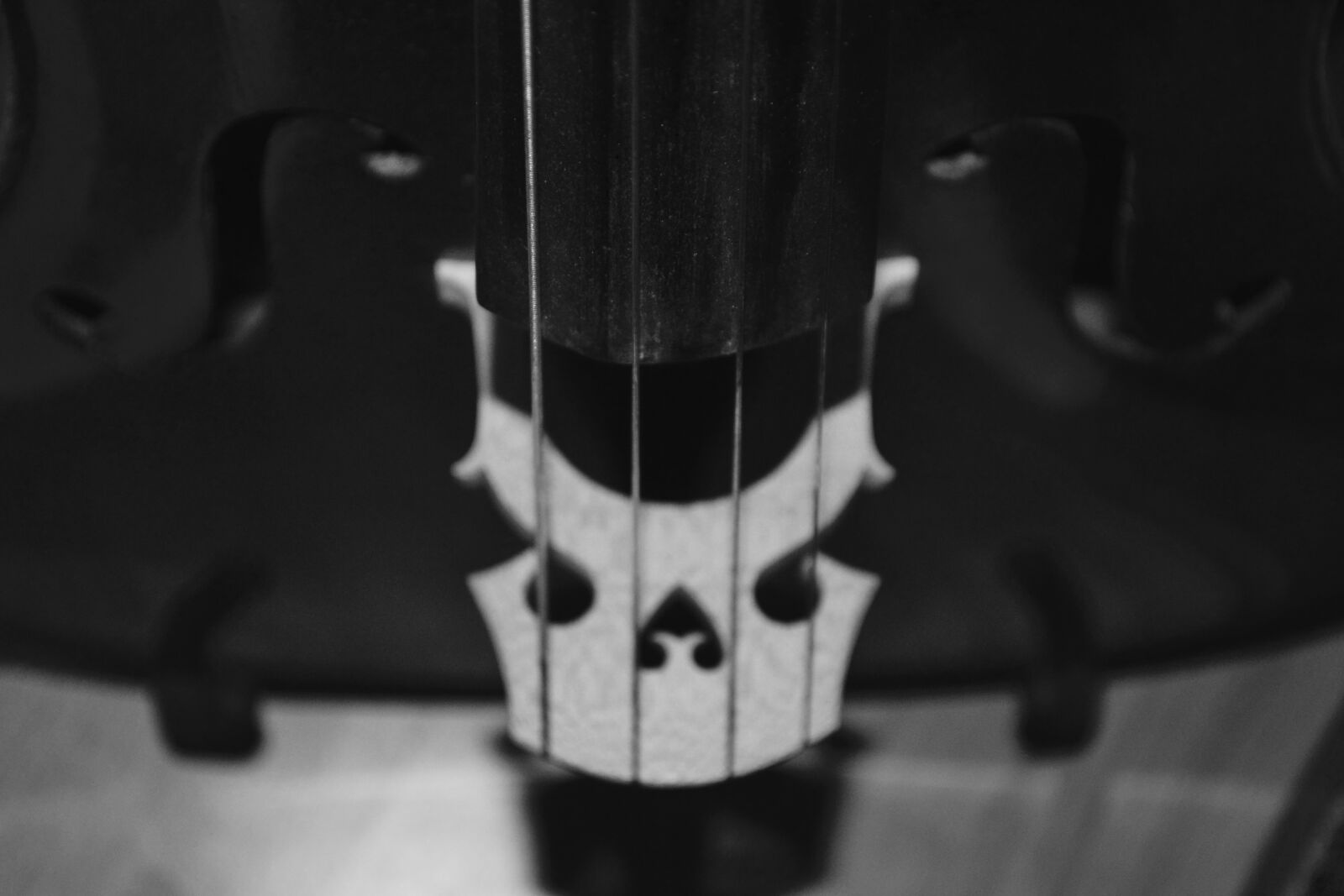 Nikon D3100 sample photo. Black, and, white, bw photography