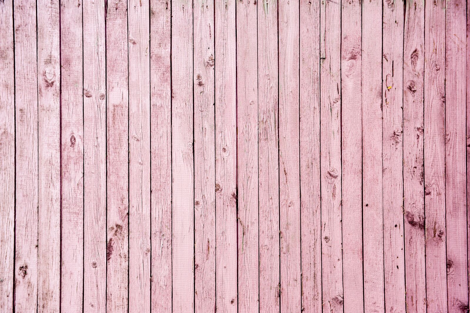 Nikon D700 sample photo. Pink, the old board photography