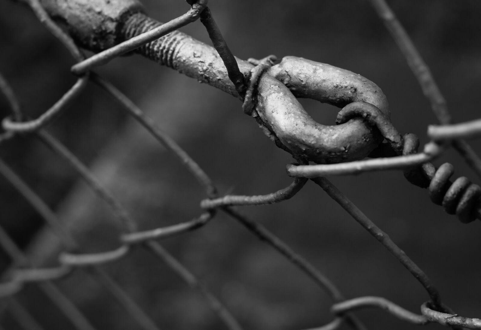 Canon EOS 700D (EOS Rebel T5i / EOS Kiss X7i) + Canon EF 50mm F1.8 STM sample photo. Hook, wire, black and photography
