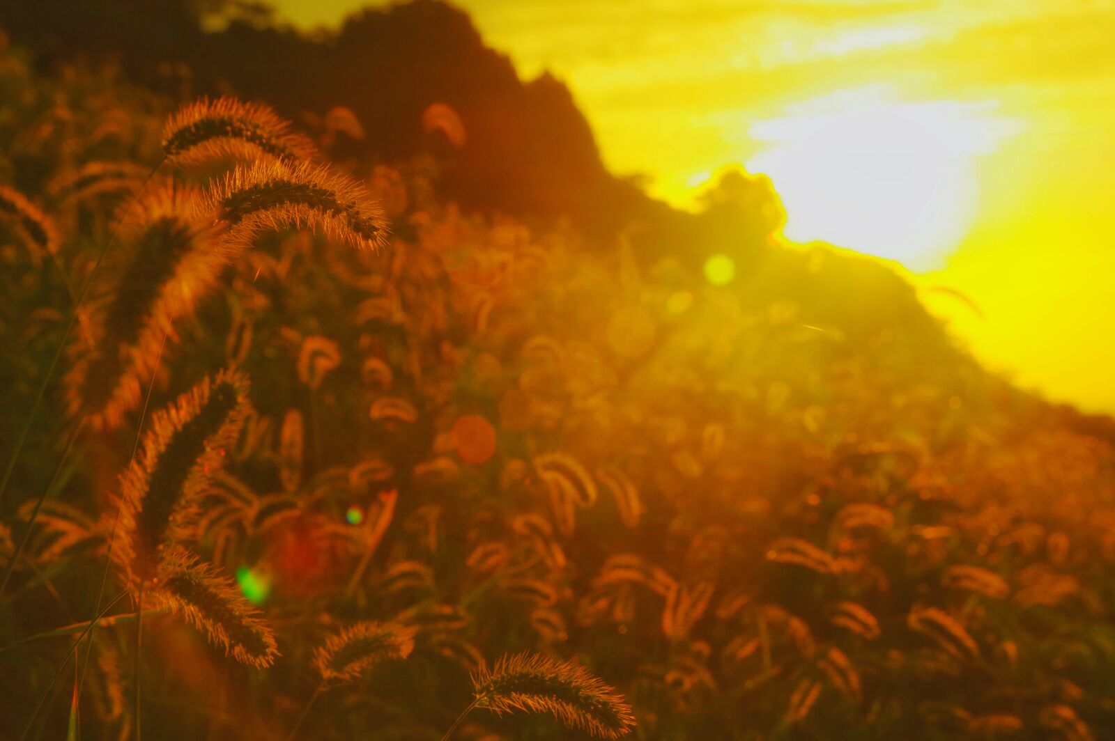 Pentax K-3 sample photo. Asahi, sun, sunrise photography