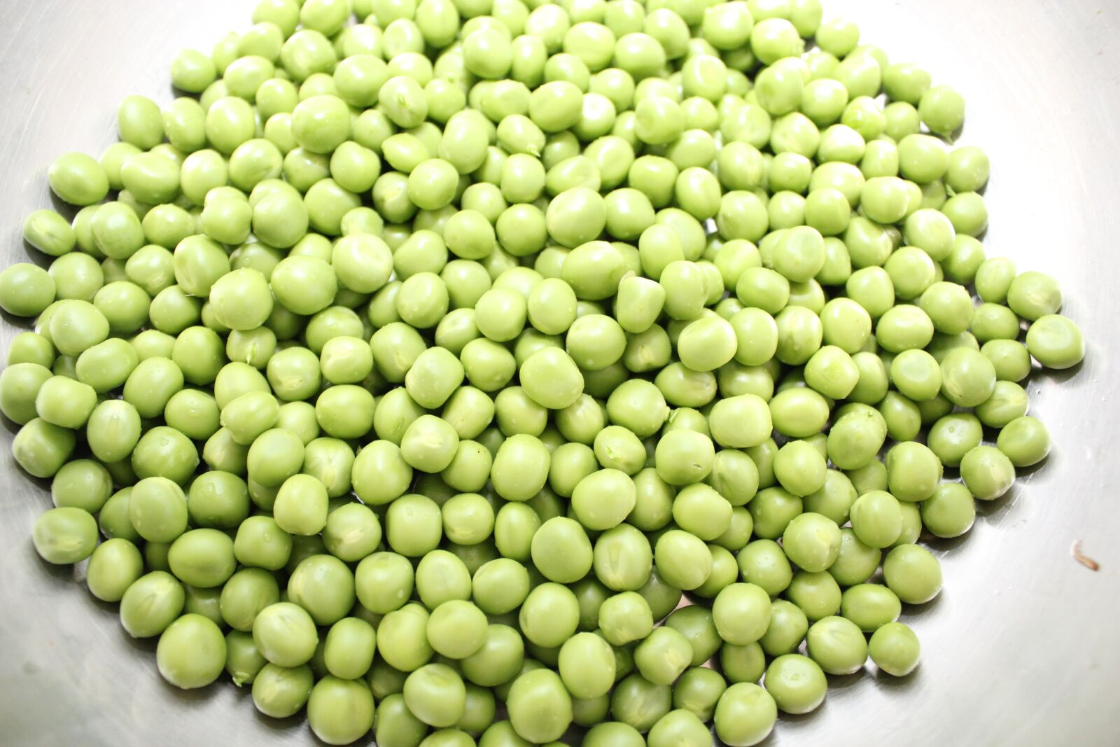 Canon EOS 550D (EOS Rebel T2i / EOS Kiss X4) sample photo. Peas in a pod photography