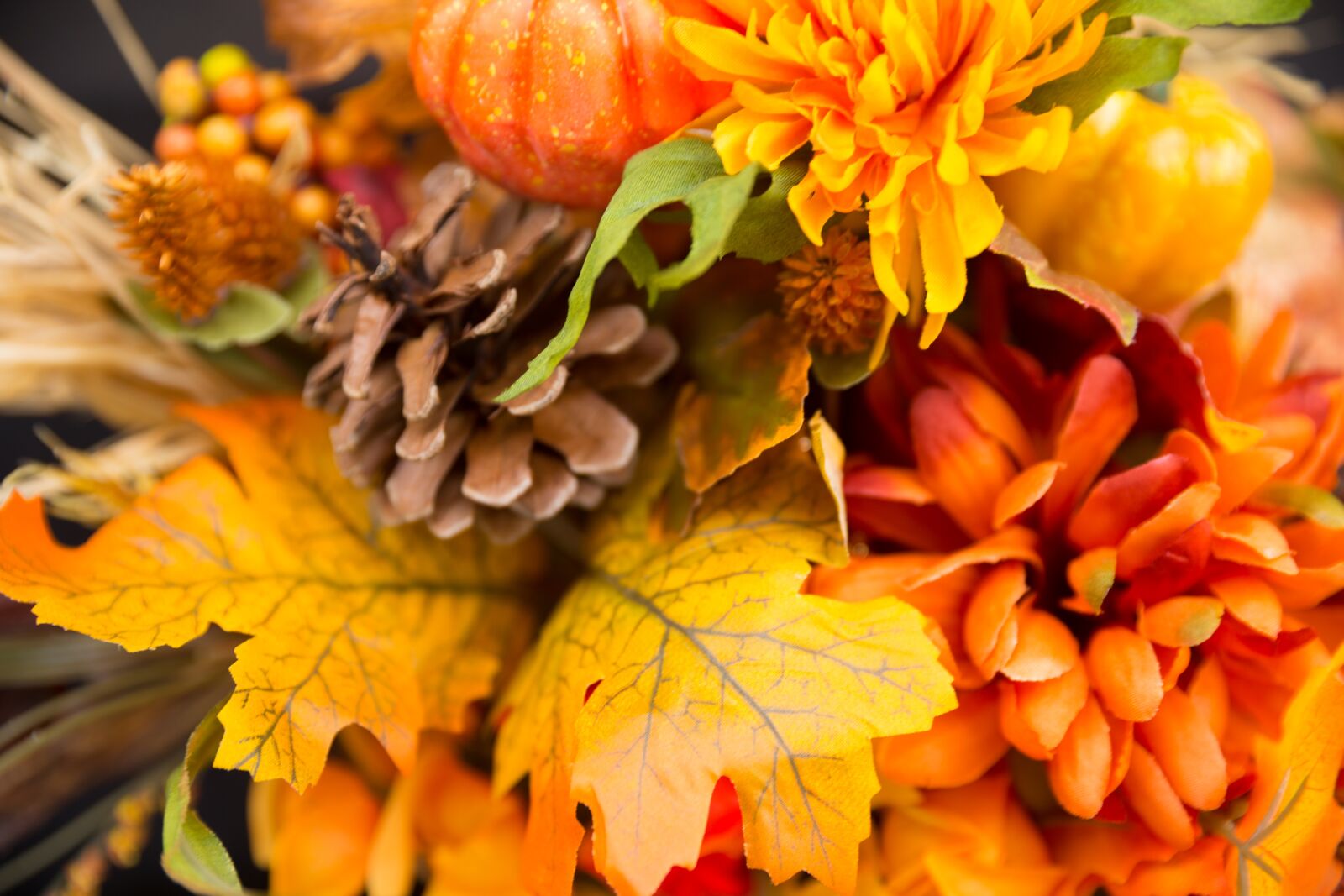 Canon EOS-1D X sample photo. Fall flowers, thanksgiving flowers photography
