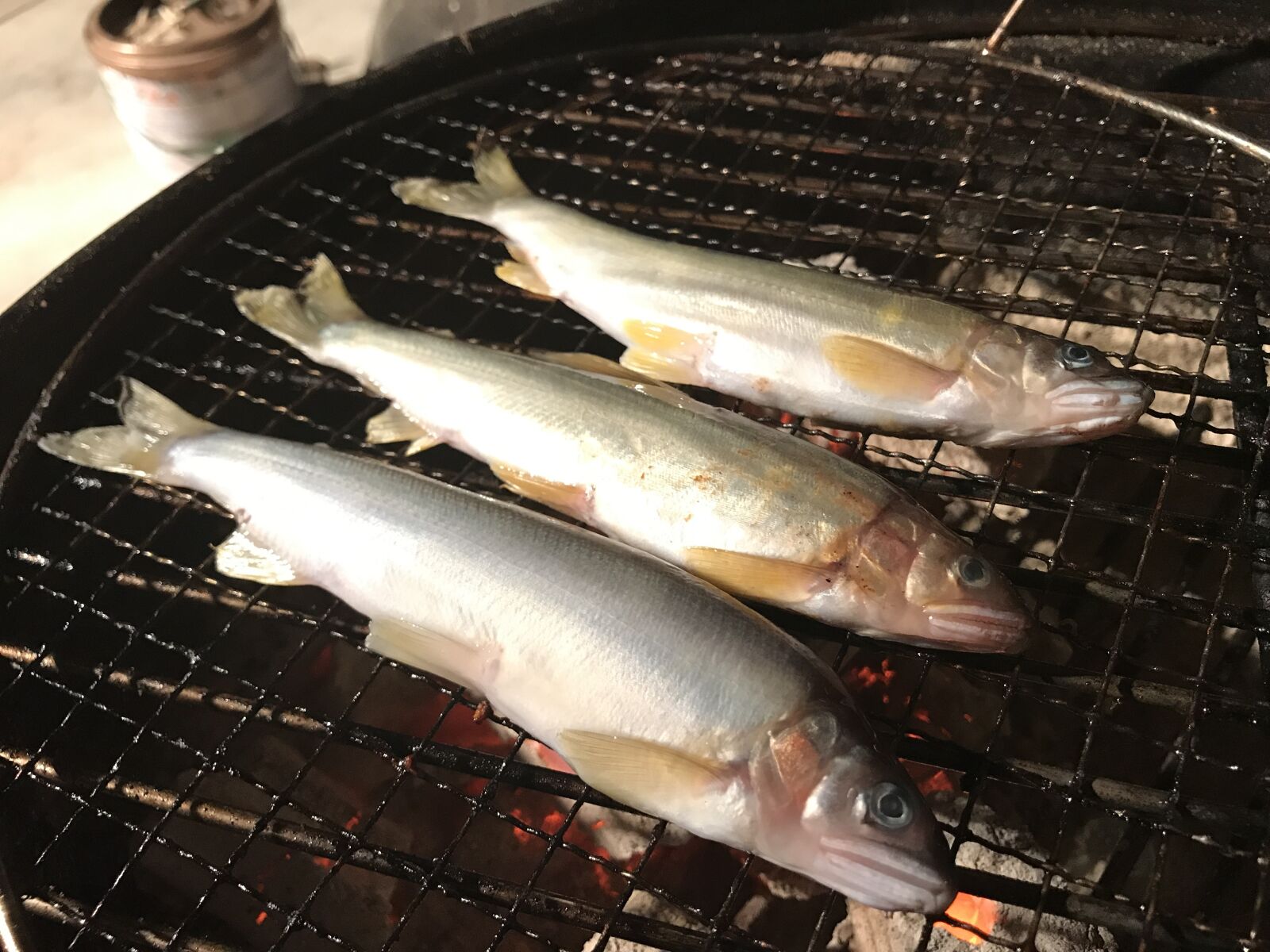 Apple iPhone 7 sample photo. You all, freshwater fish photography
