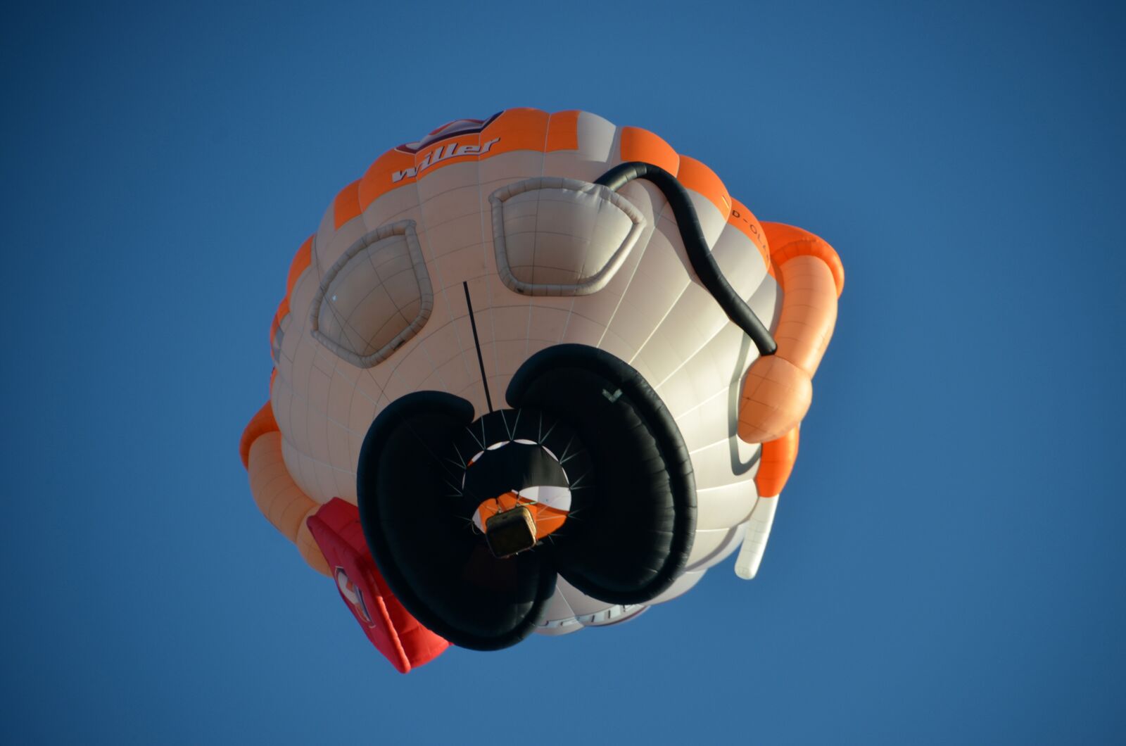 Nikon D5100 sample photo. Hot air balloon, fly photography