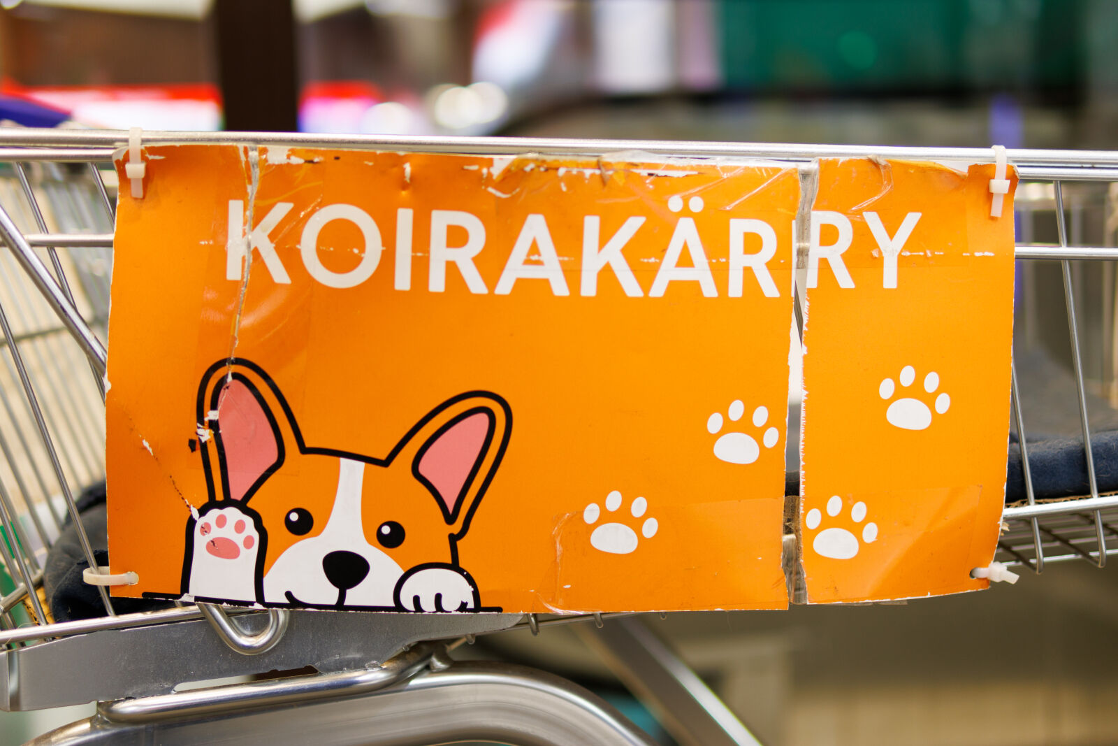 Sigma 30mm F1.4 DC DN | C sample photo. Shopping cart for dogs photography