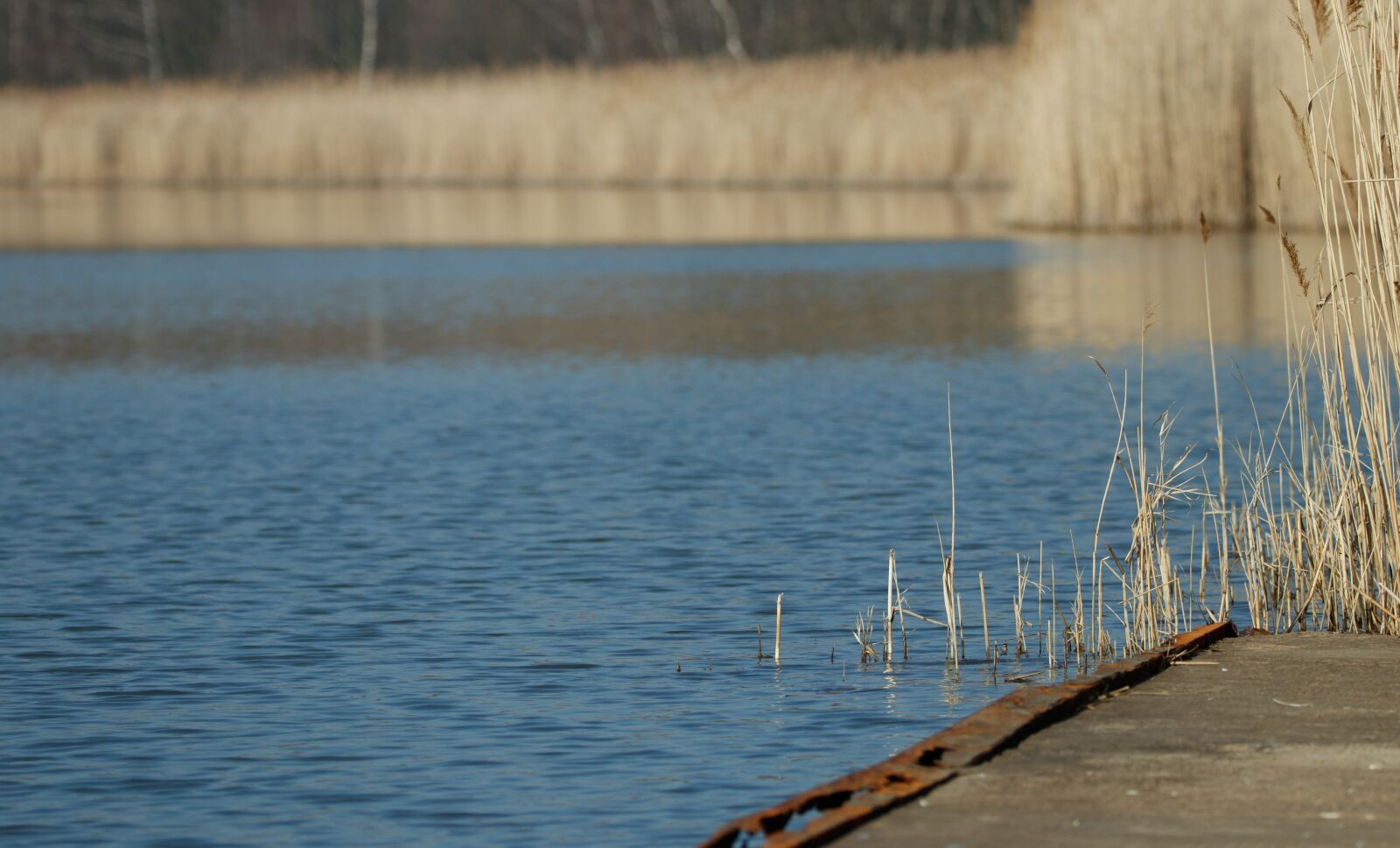 150-600mm F5-6.3 DG OS HSM | Contemporary 015 sample photo. Bank, web, water photography