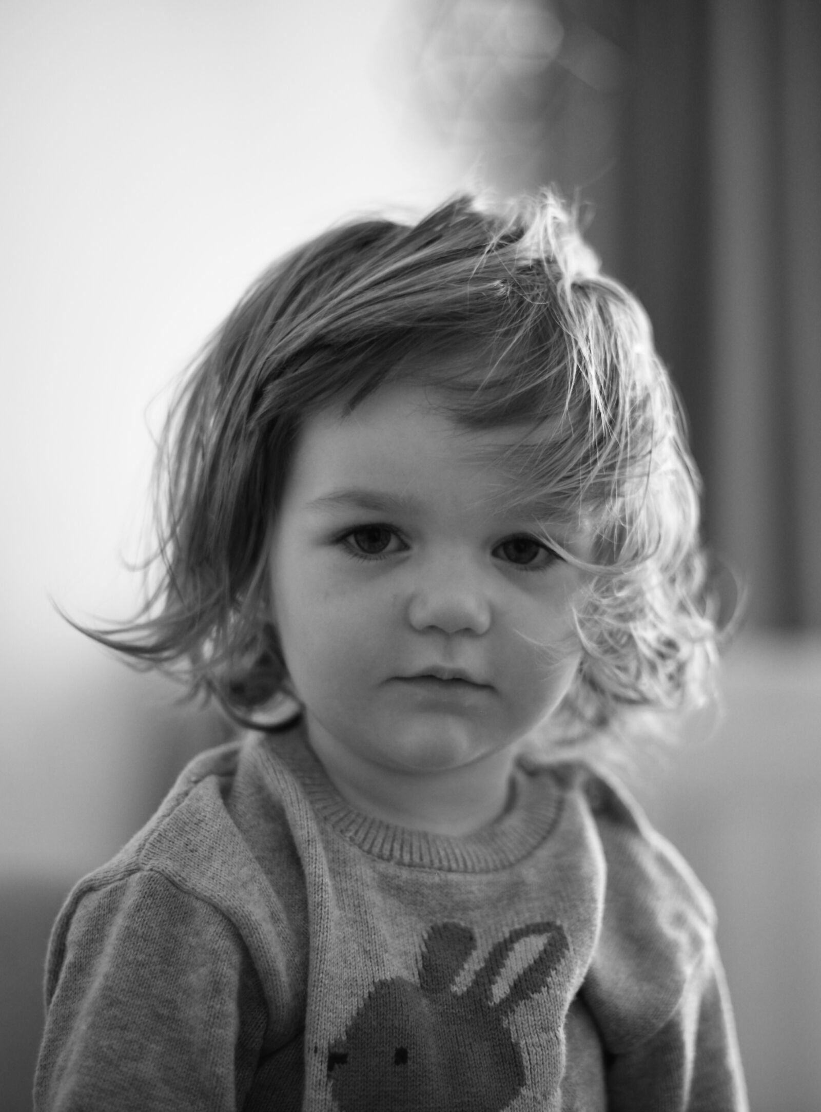 Nikon D850 sample photo
