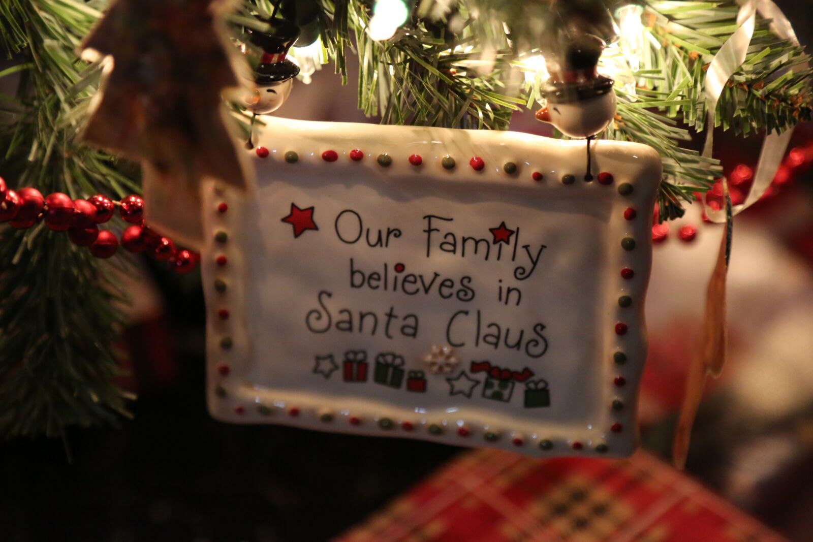 Canon EF 24-105mm F4L IS USM sample photo. Christmas, ornaments, lights photography