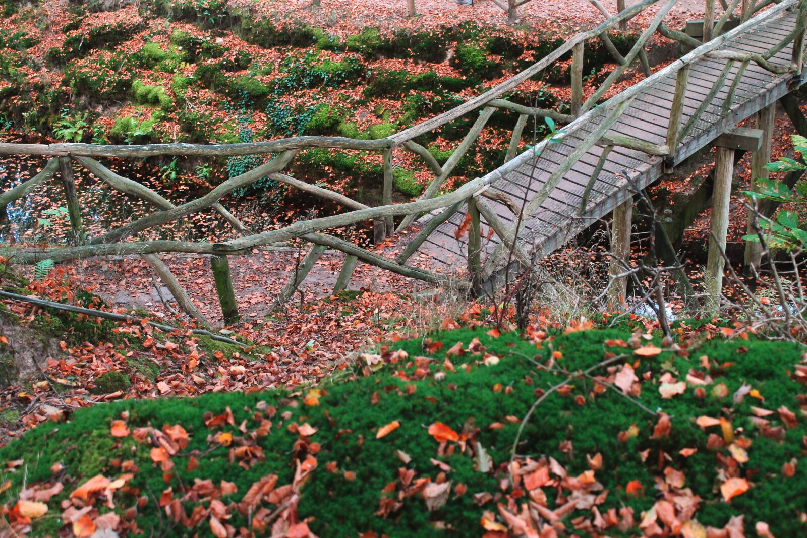 Canon EOS 1100D (EOS Rebel T3 / EOS Kiss X50) sample photo. Bridge, wooden, wood photography