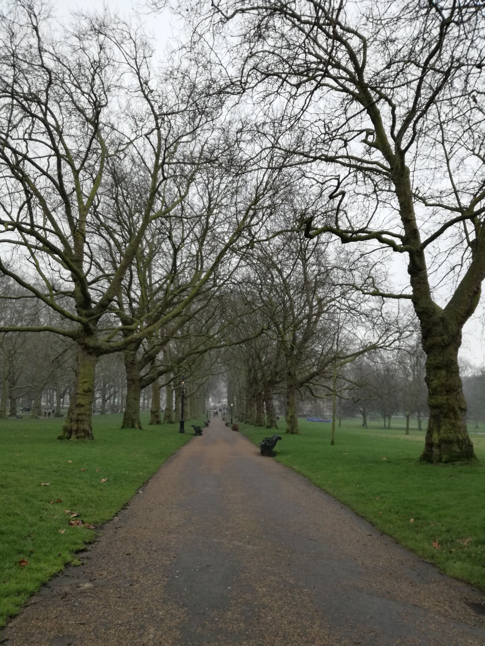 HUAWEI P9 LITE sample photo. Park, path, trees photography