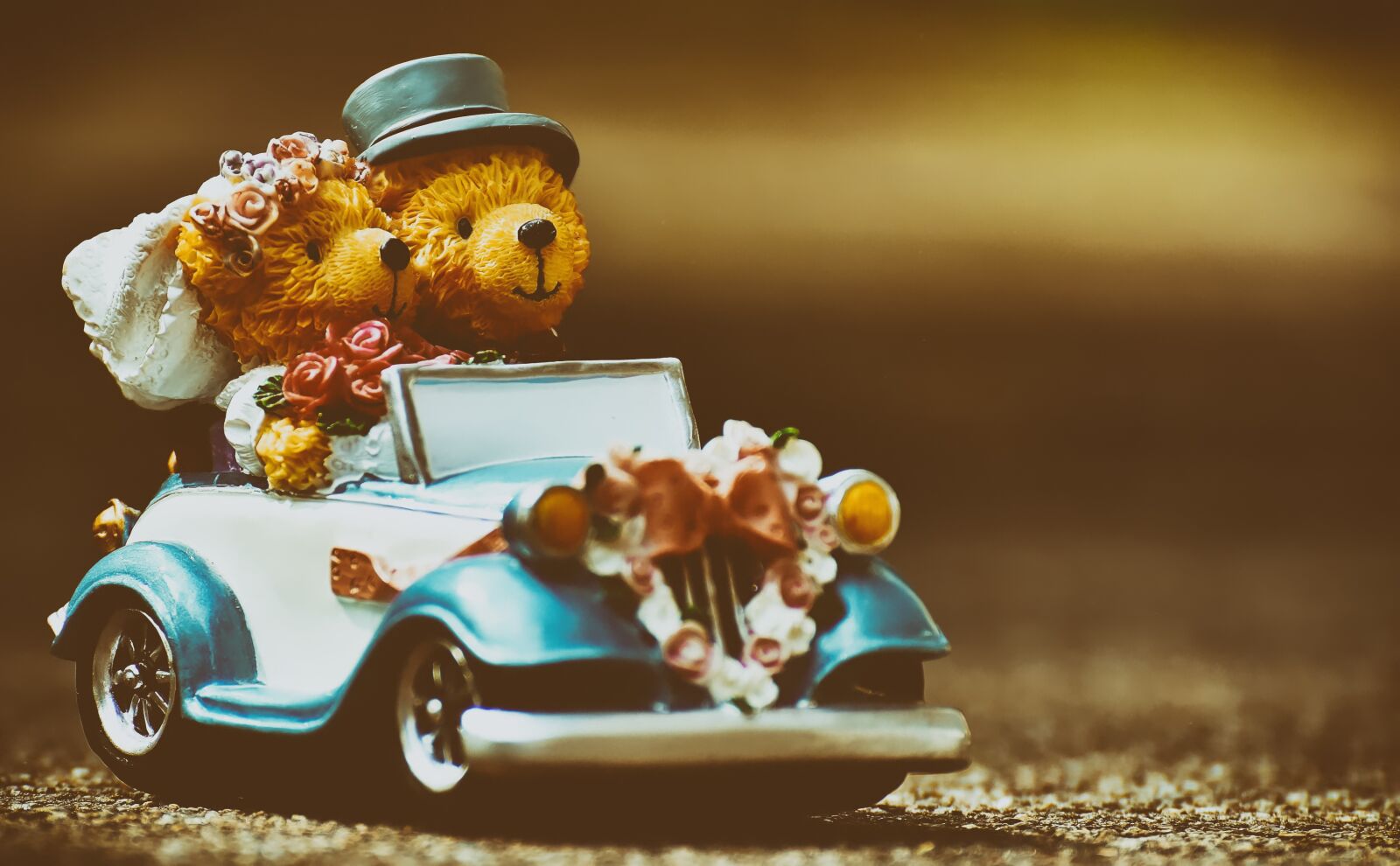 Nikon D7200 sample photo. Wedding, bear, figures photography