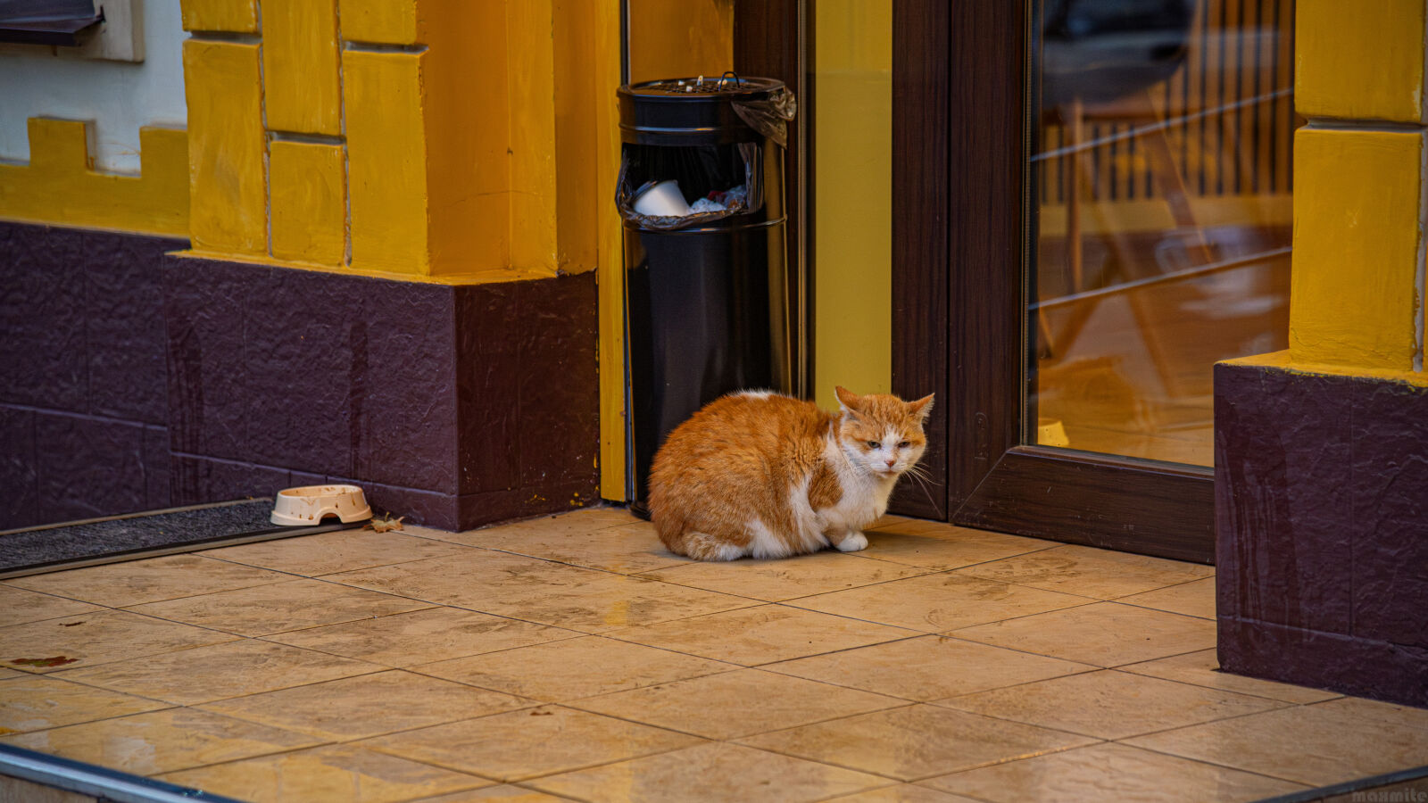Nikon D750 sample photo