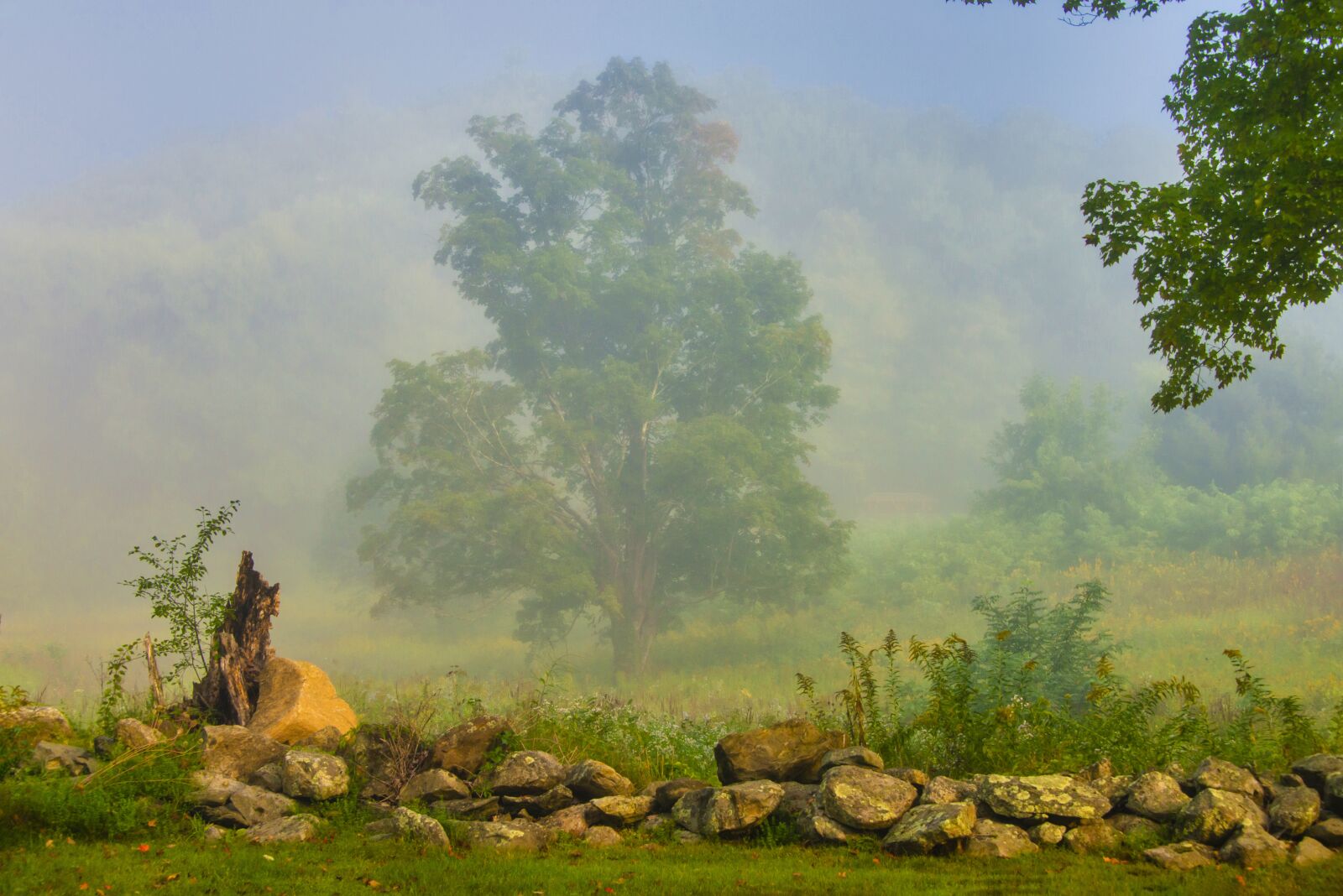 Nikon D800 sample photo. Nature, fog, landscape photography