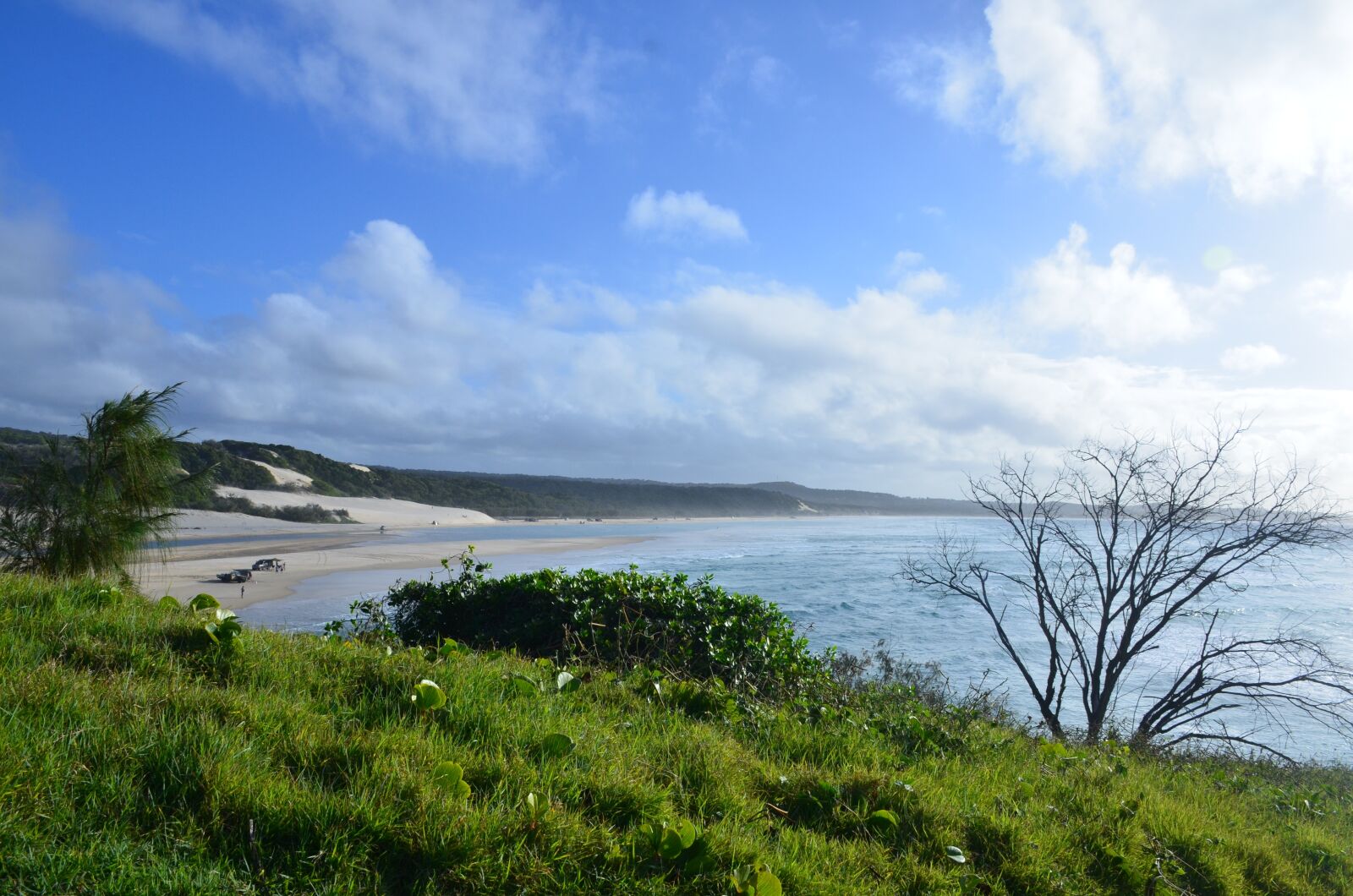 Nikon D7000 sample photo. Beach, fraser island, green photography