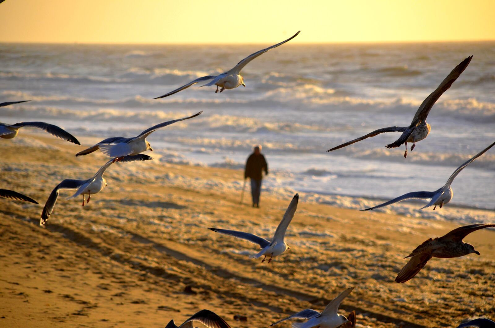Nikon D5100 sample photo. Man, person, walking photography