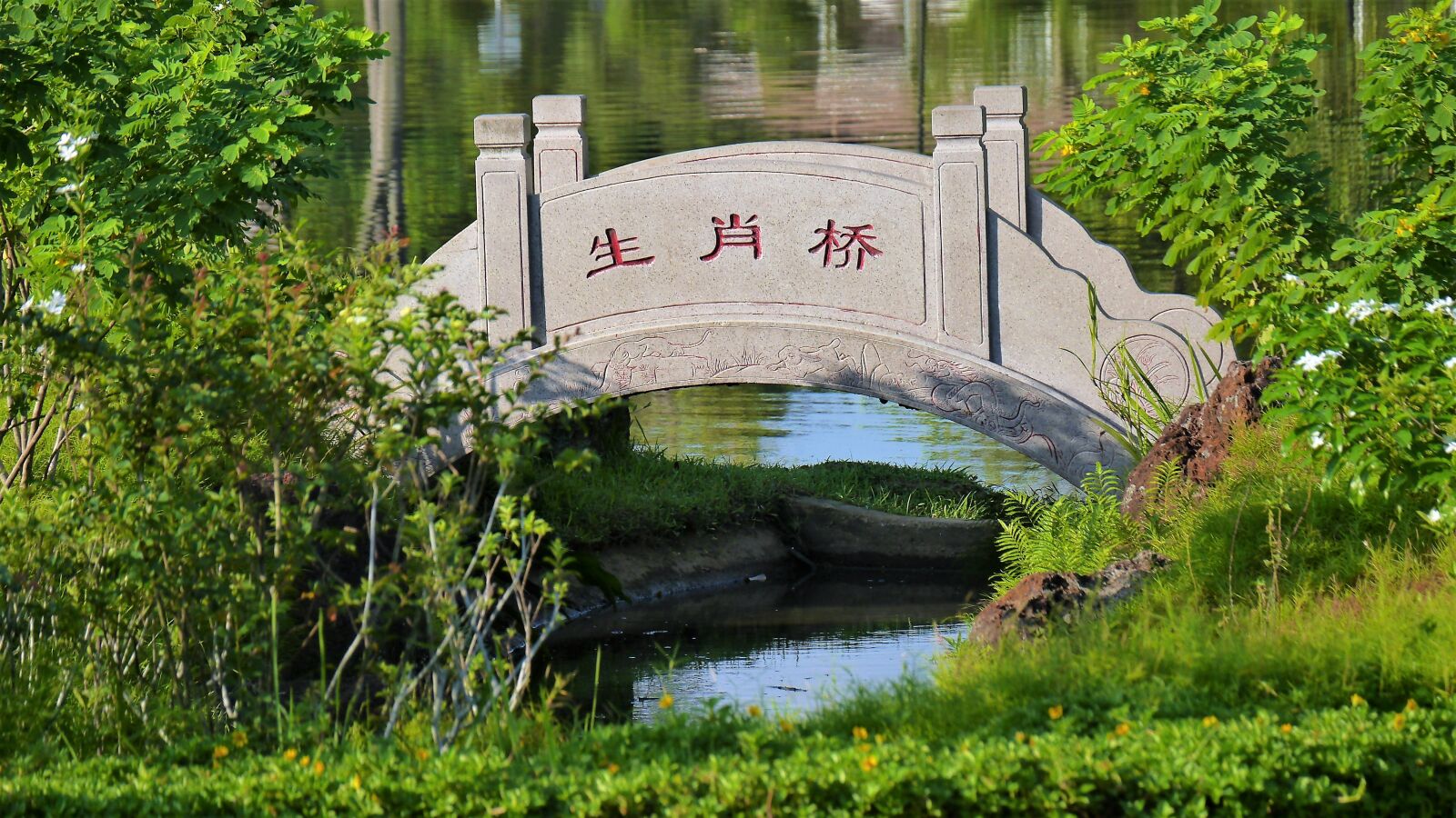 Panasonic Lumix DMC-GH3 sample photo. Nature, water, summer photography