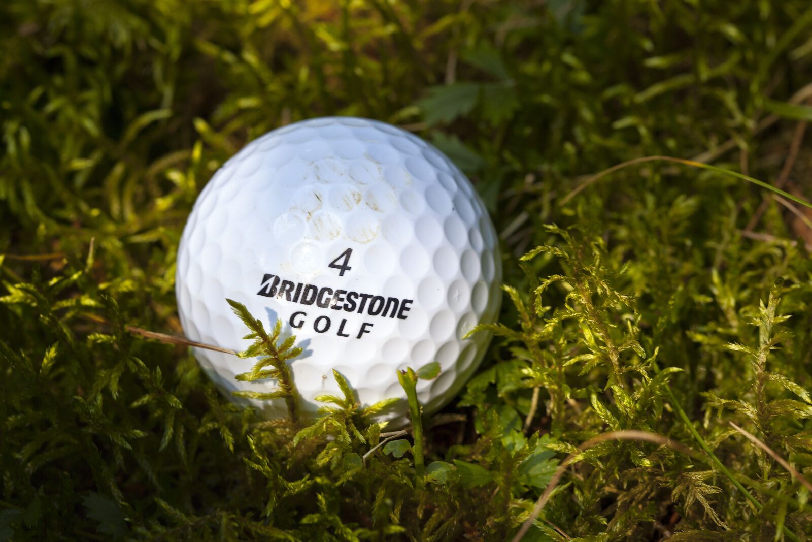 Canon EF 100mm F2.8L Macro IS USM sample photo. Lost ball, golf, moss photography