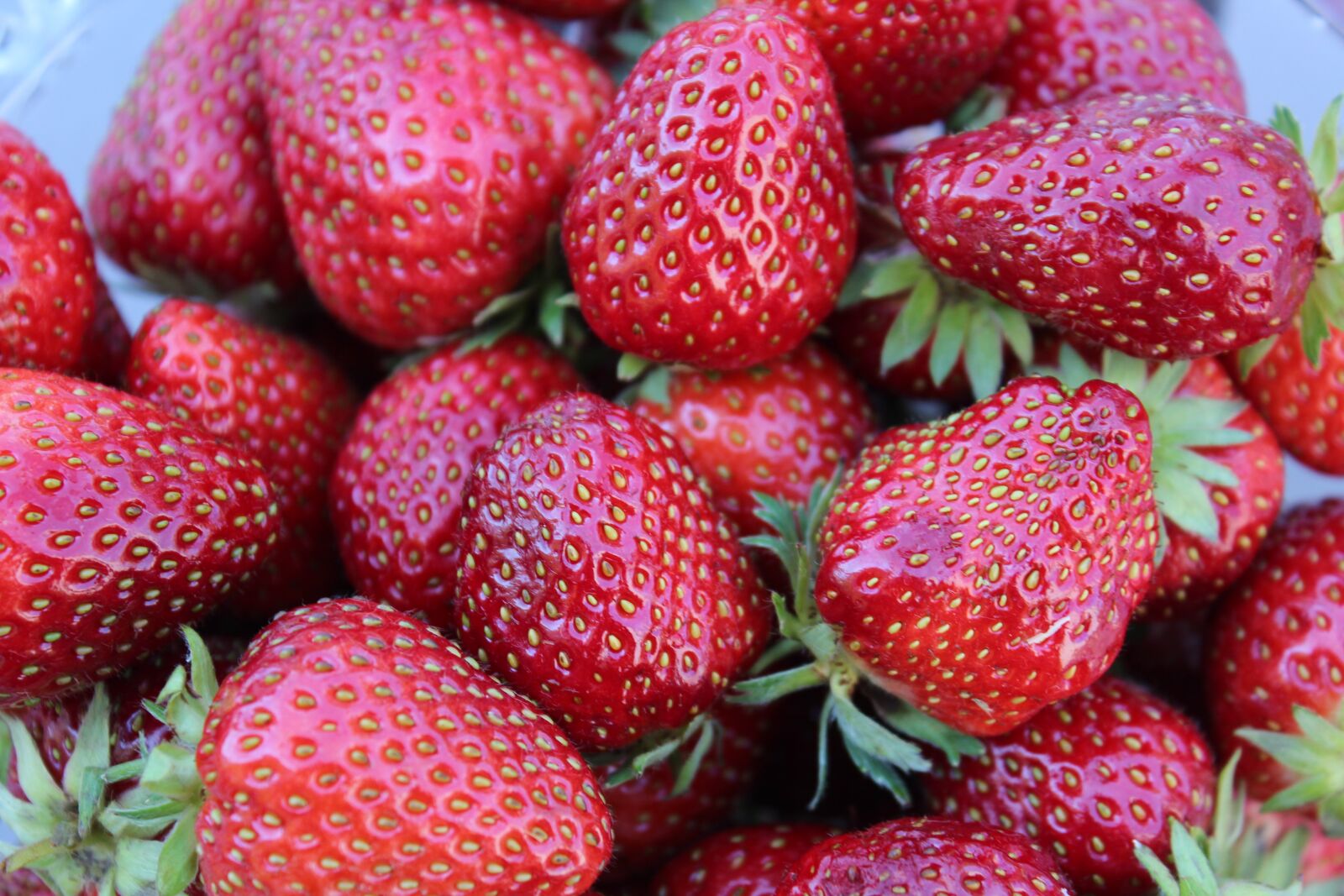 Canon EOS 600D (Rebel EOS T3i / EOS Kiss X5) sample photo. Erdber, fruit photography