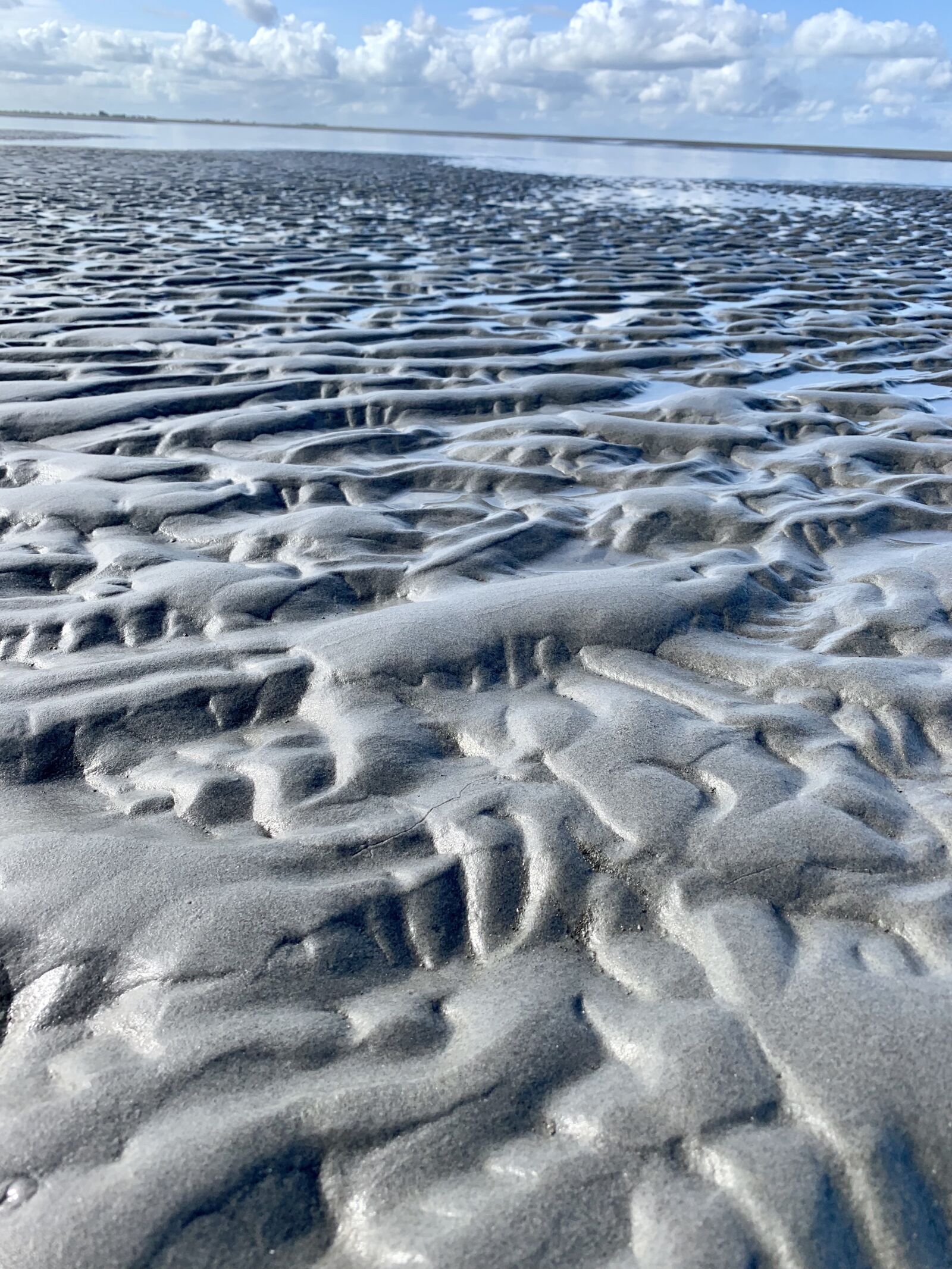Apple iPhone XS sample photo. West frisian, sea, sand photography