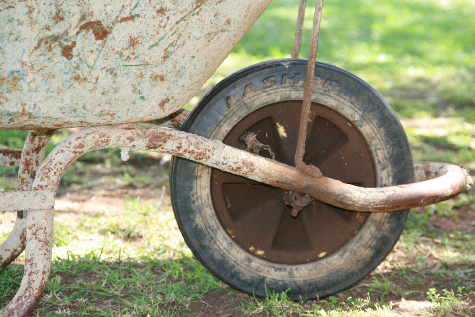 Canon EOS 400D (EOS Digital Rebel XTi / EOS Kiss Digital X) sample photo. Wheelbarrow, gardening, garden photography