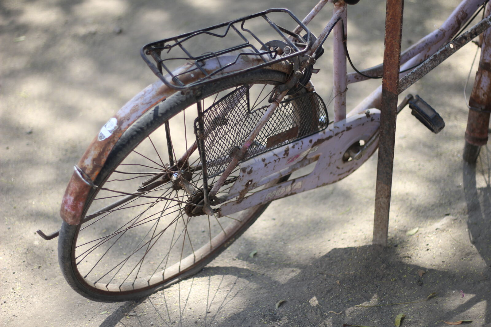 Canon EOS 60D + Canon EF 50mm F1.8 STM sample photo. Bicycle photography