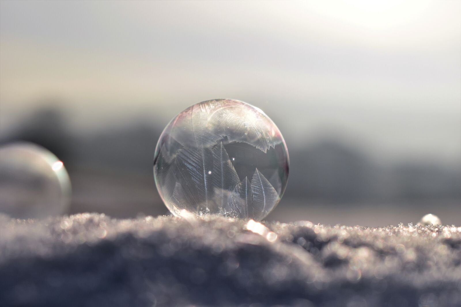 Nikon D5500 sample photo. Soap bubble, frozen, frozen photography