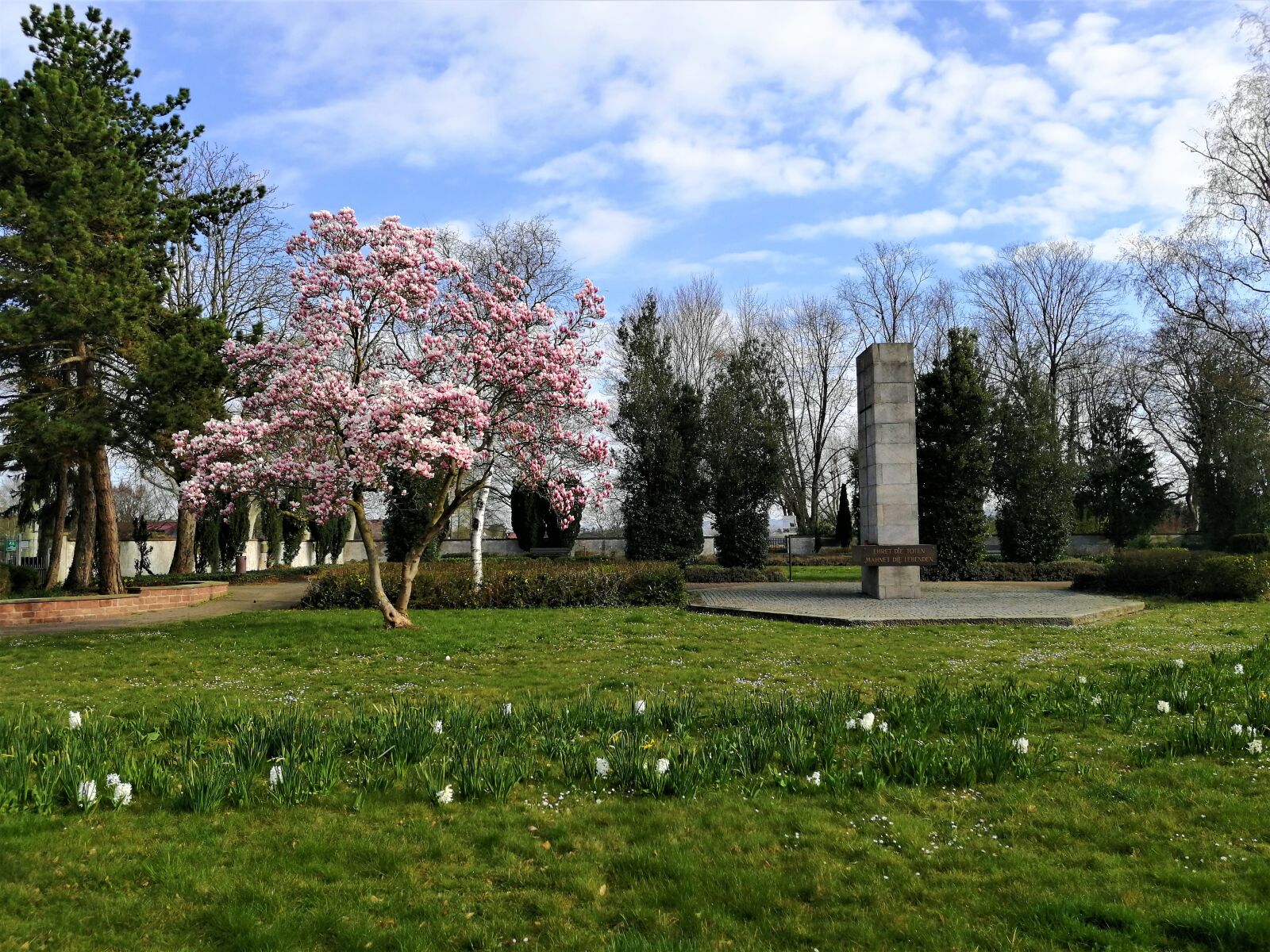 HUAWEI SNE-LX1 sample photo. Natur, monument, nature photography