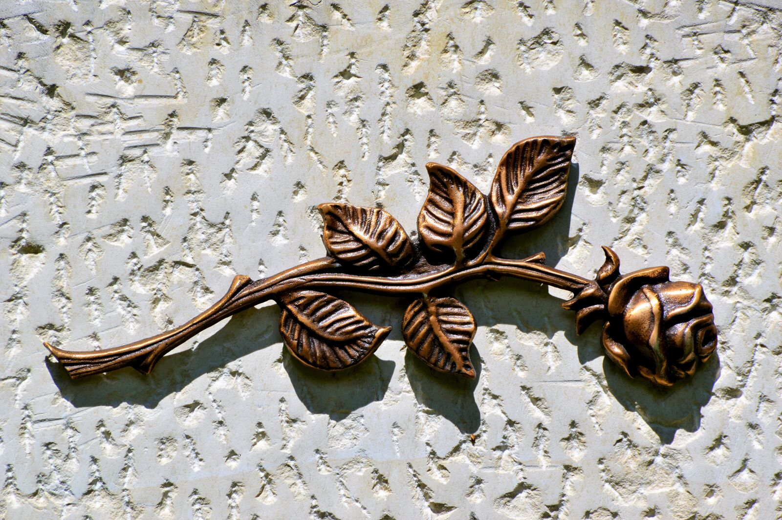 Nikon D3200 sample photo. Rose, relief, stone photography