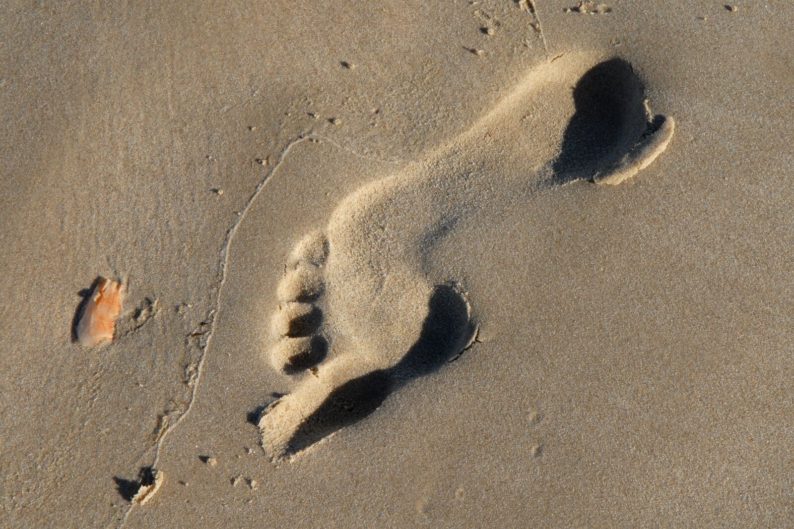 Nikon D200 sample photo. Footprint, tracks in the photography