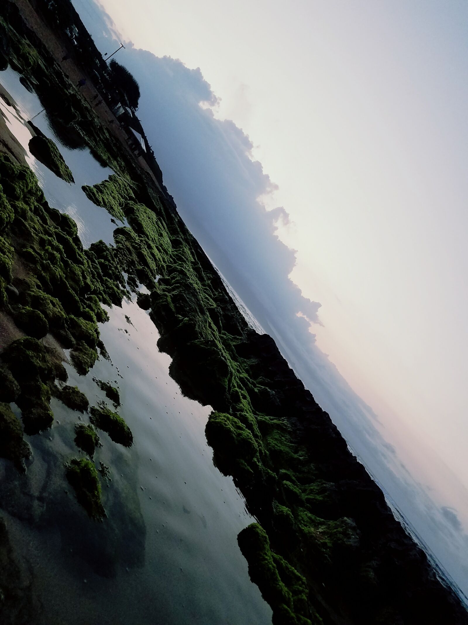 Samsung Galaxy S7 Edge sample photo. Algae, coast, line, hawaii photography
