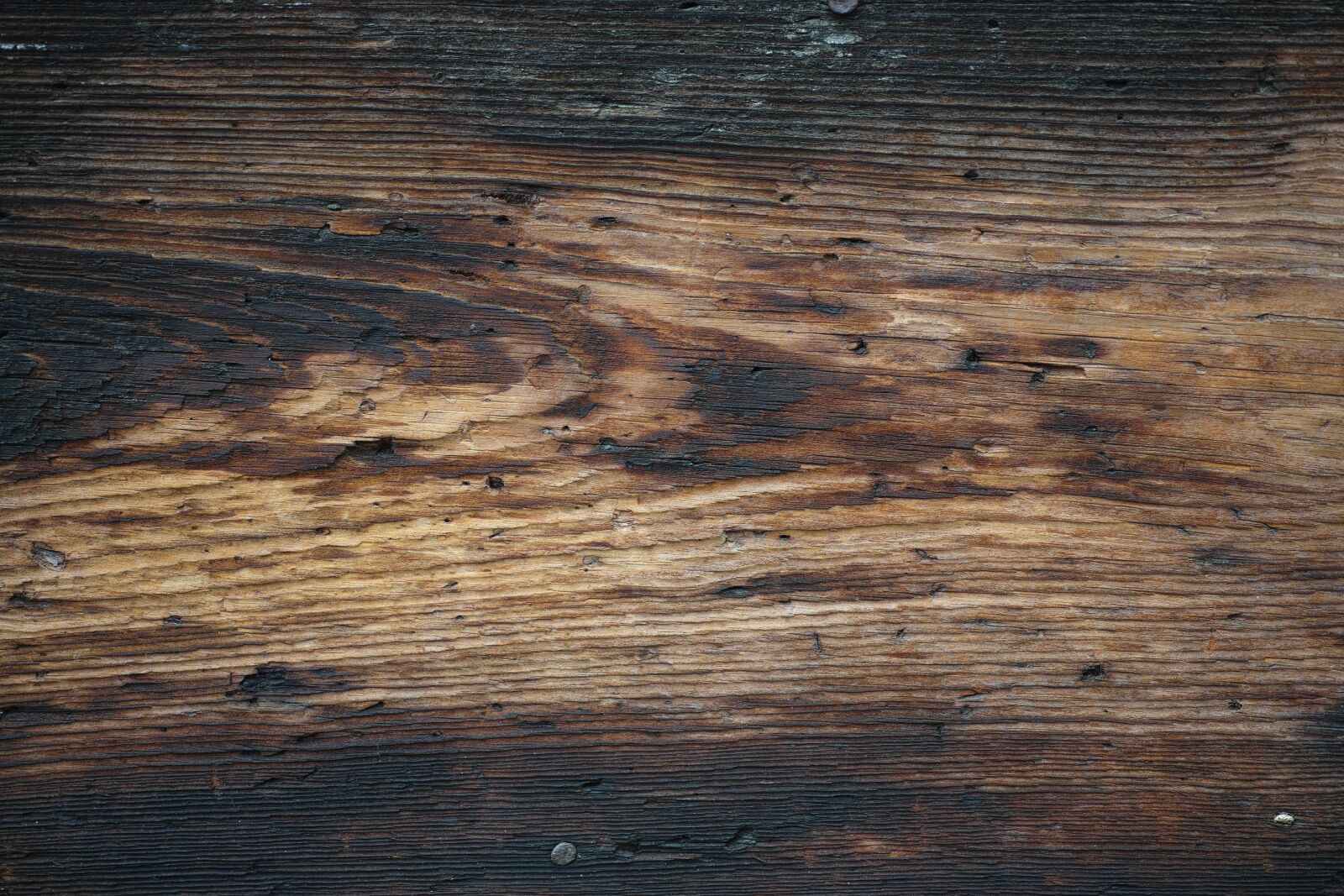 Sigma DP3 Merrill sample photo. Wood, wood-fibre boards, brown photography