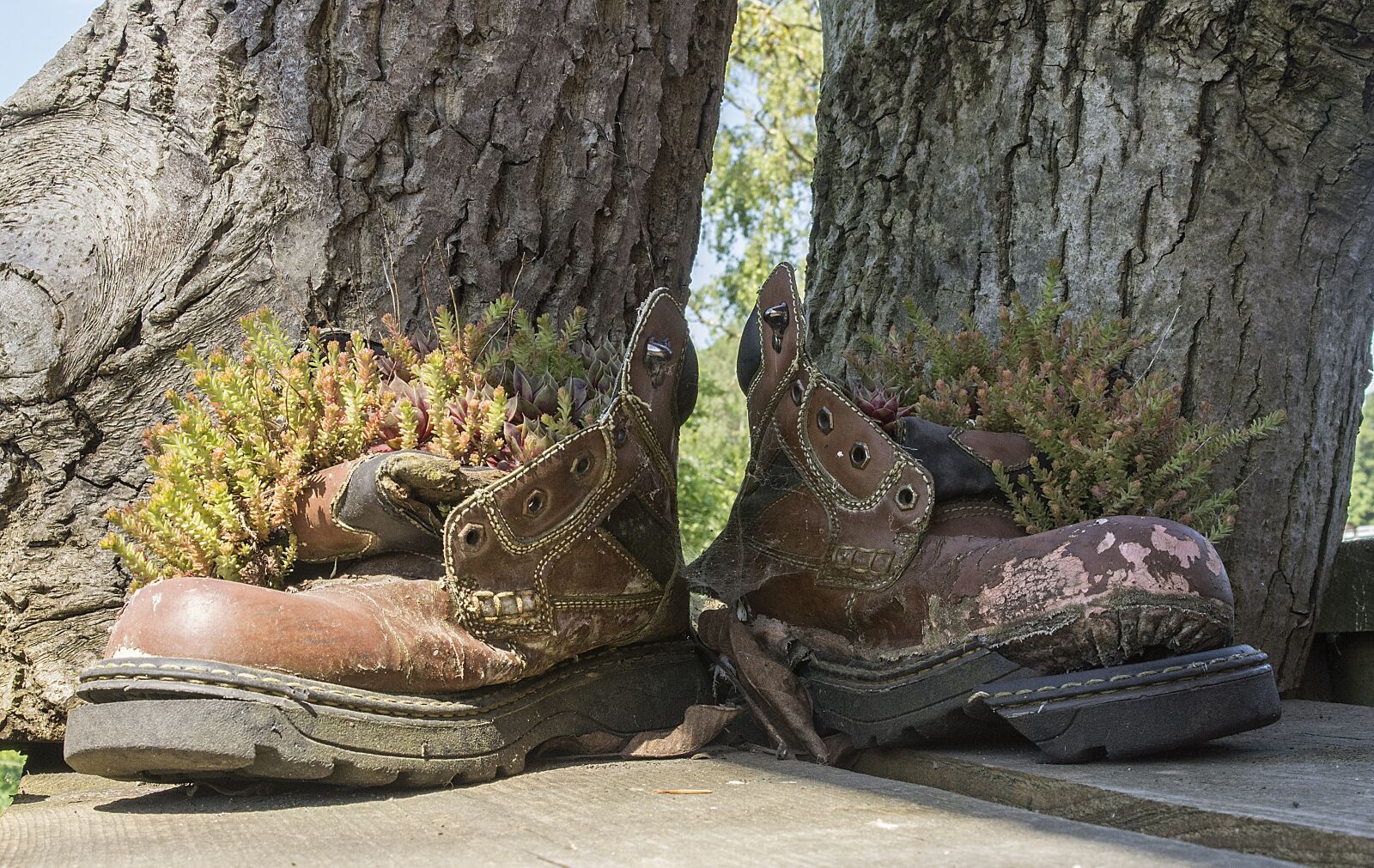 Nikon D7200 sample photo. Old shoes, shoes, old photography