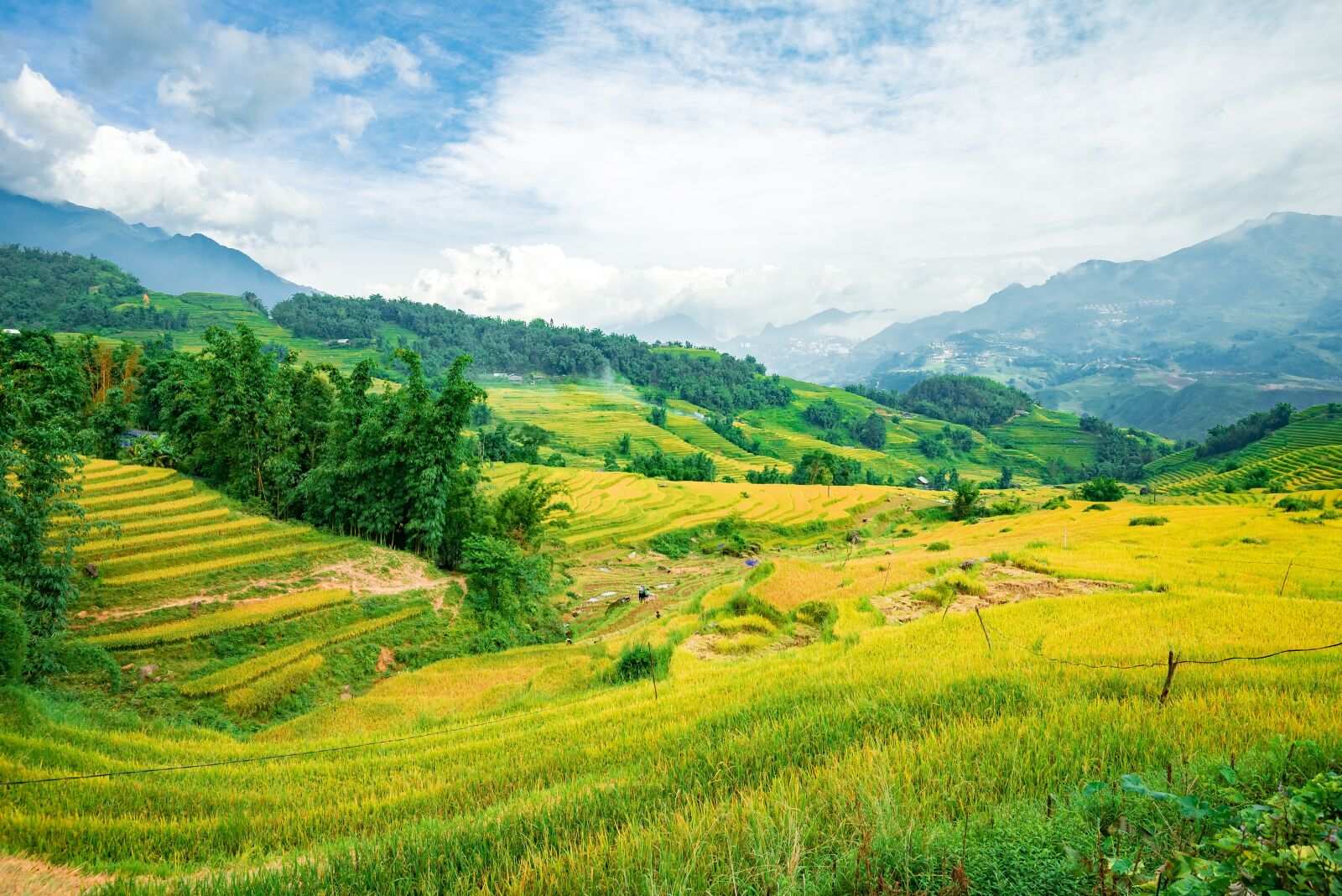 Nikon D750 sample photo. Landscape, terraces, rice photography