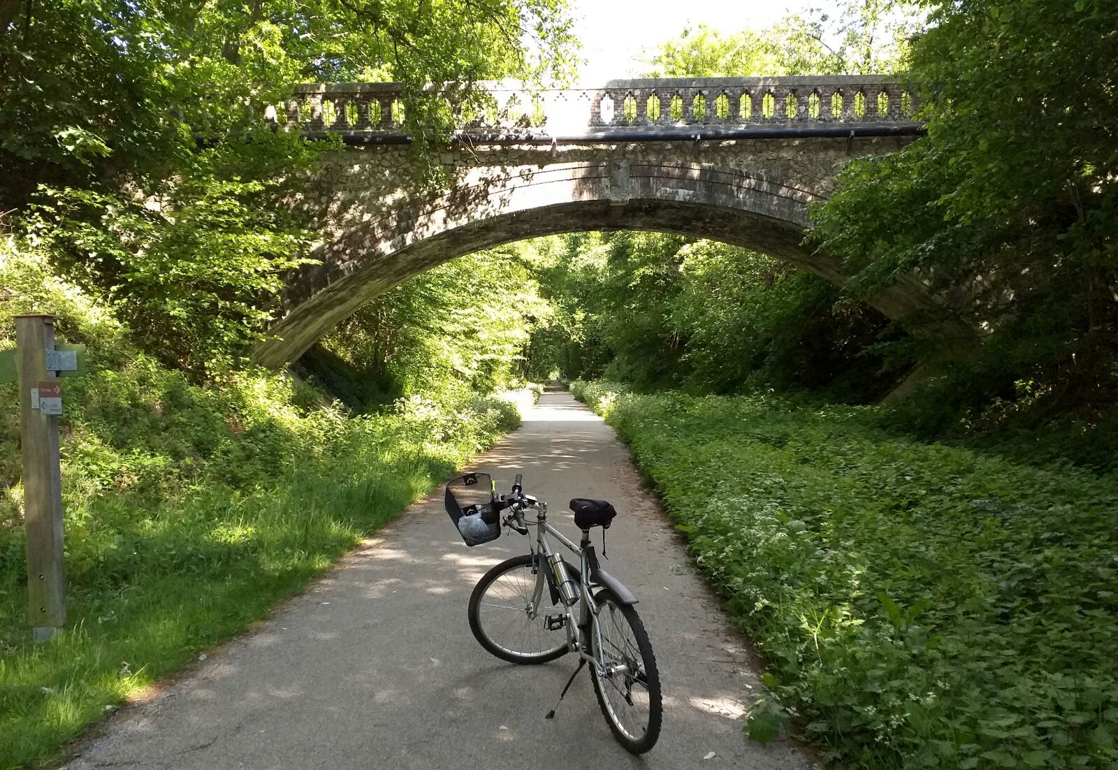 Samsung Galaxy J6+ sample photo. Bike, ride, hobbies photography
