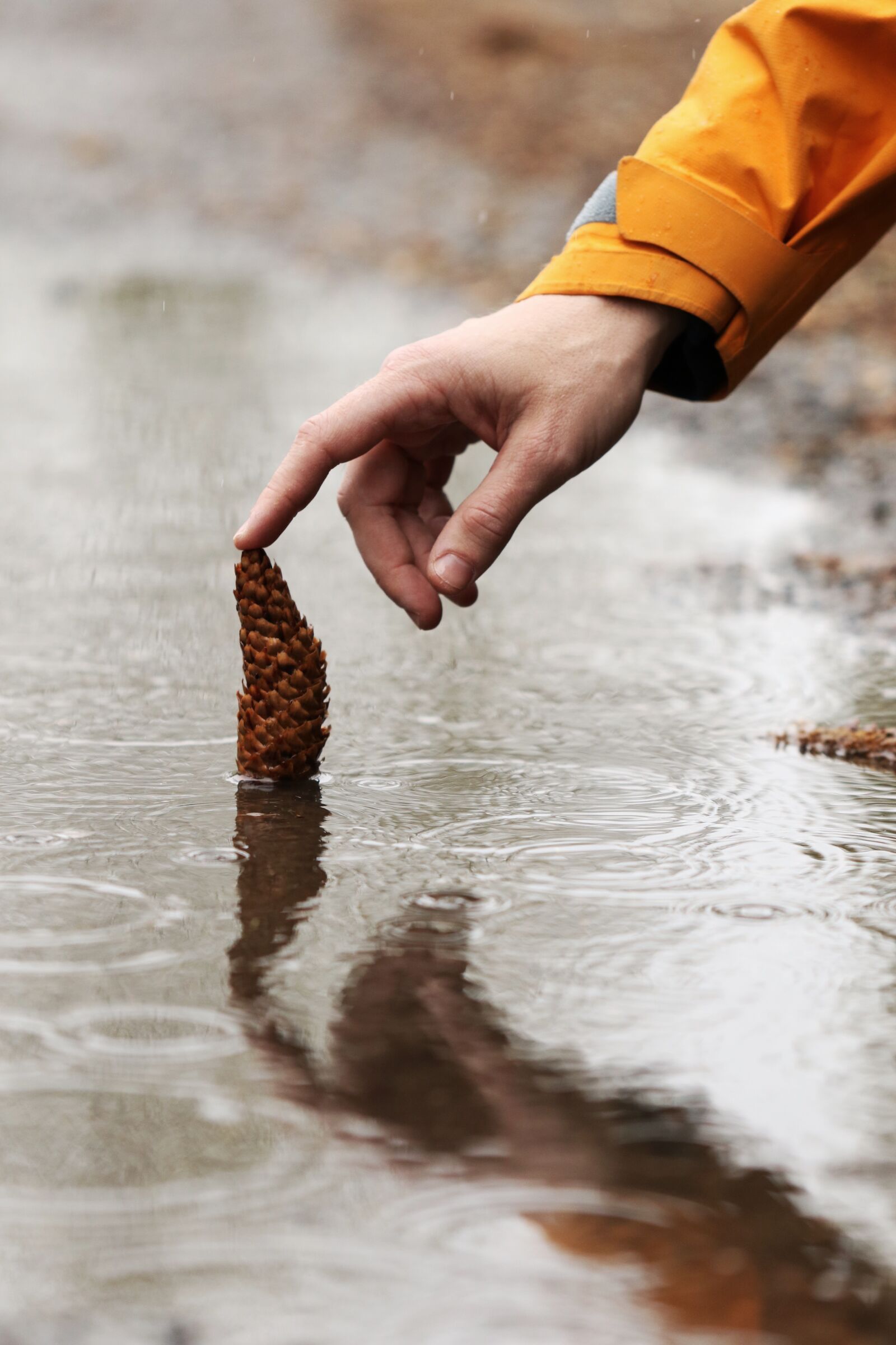 Canon EOS 7D Mark II sample photo. Rain, pinecone, hand photography