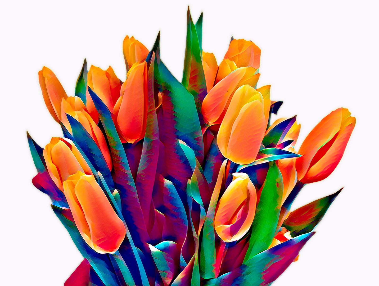 Canon EOS 550D (EOS Rebel T2i / EOS Kiss X4) sample photo. Tulips, bouquet, nosegay photography
